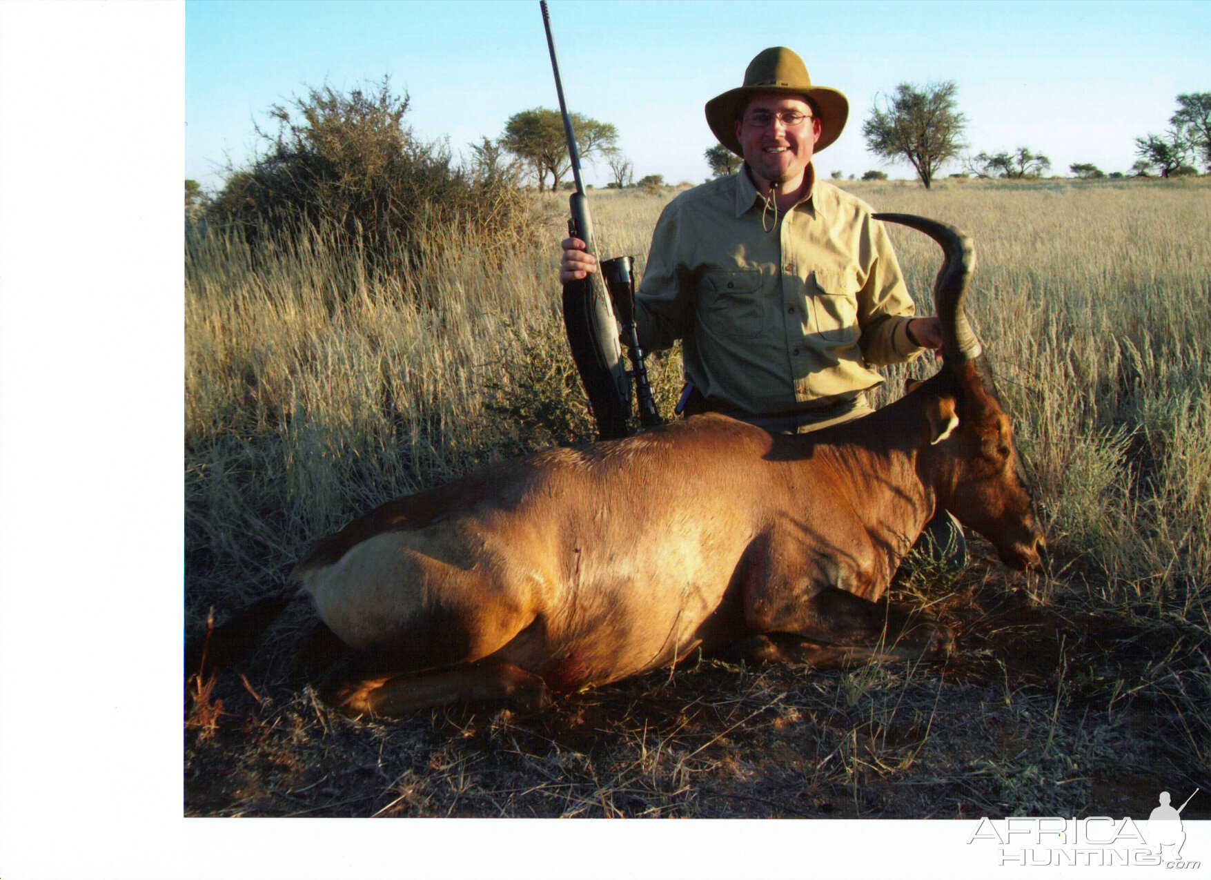 Red Hartebeest Namibia