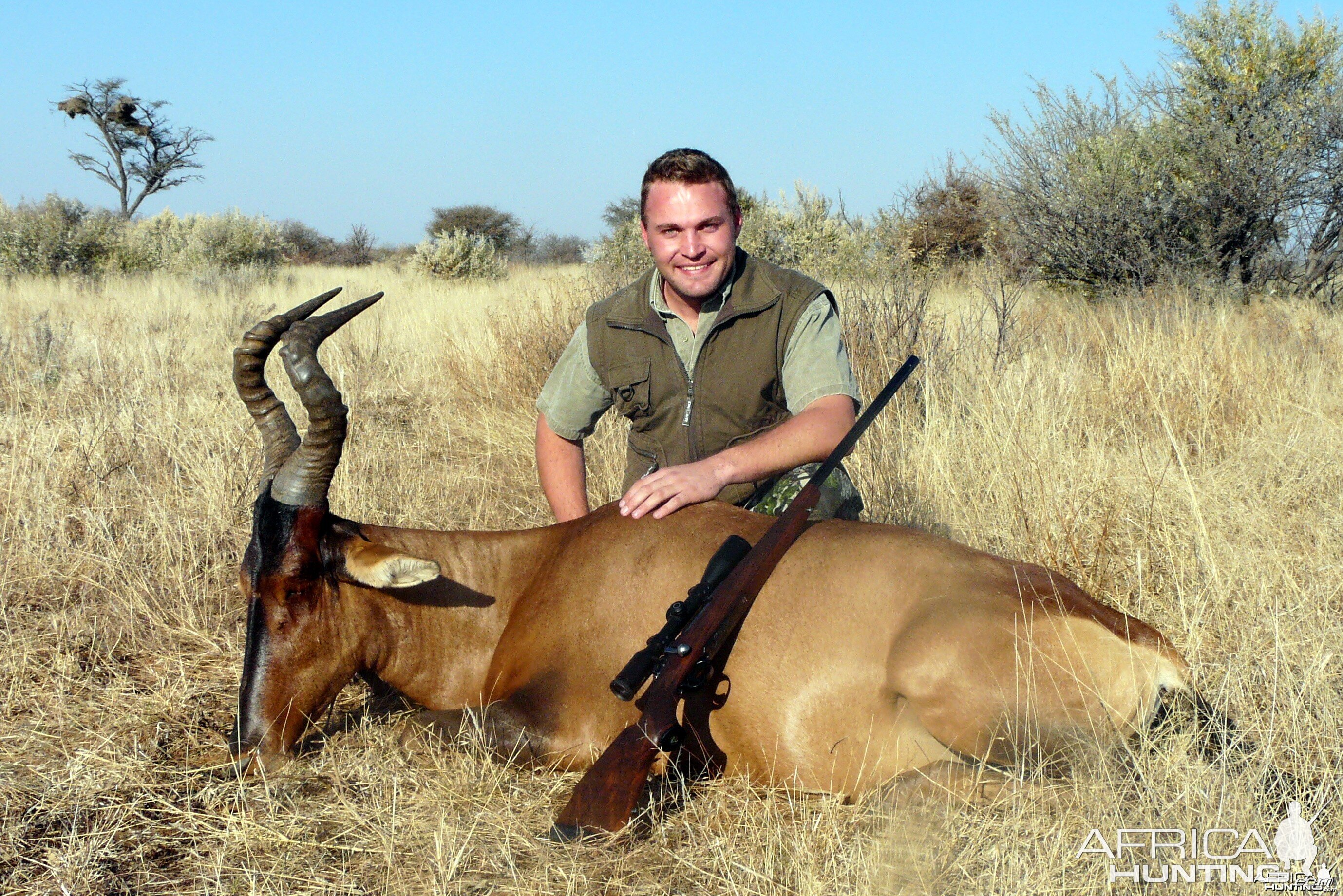 Red Hartebeest taken near Gobabis, Namibia