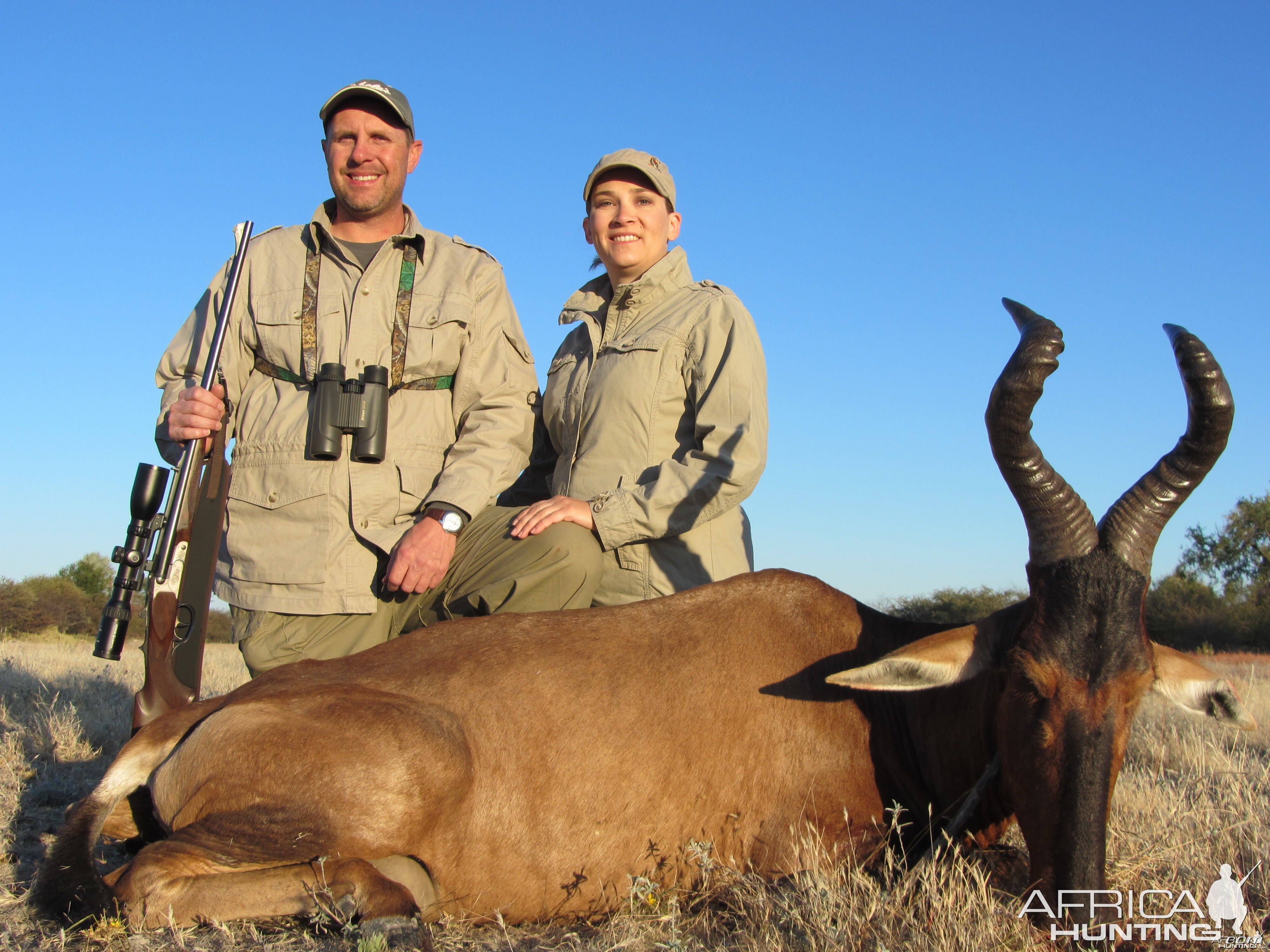 Red Hartebeest