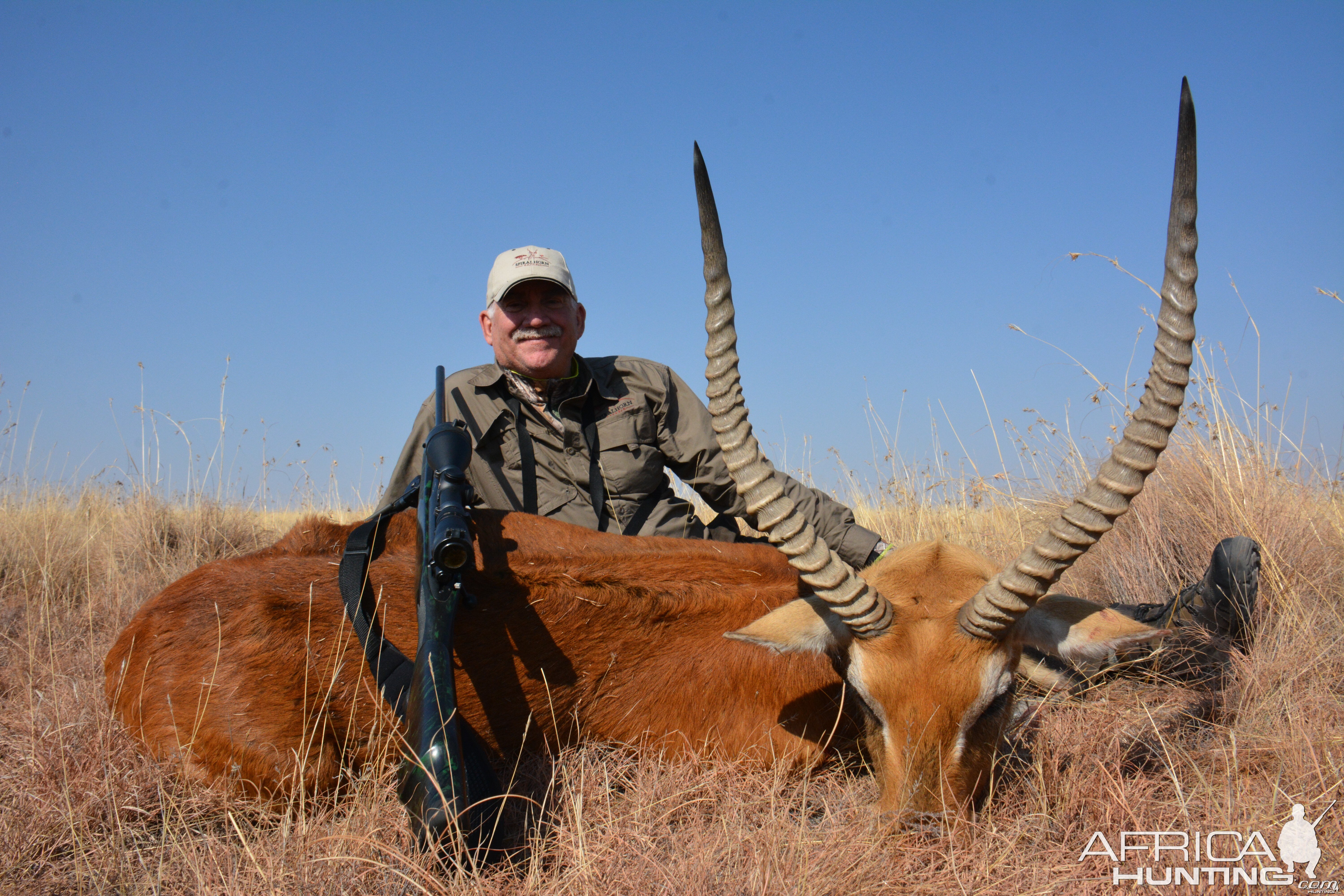 Red Lechwe