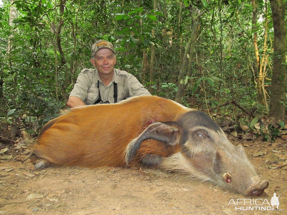 Red River Hog hunt with CAWA in CAR