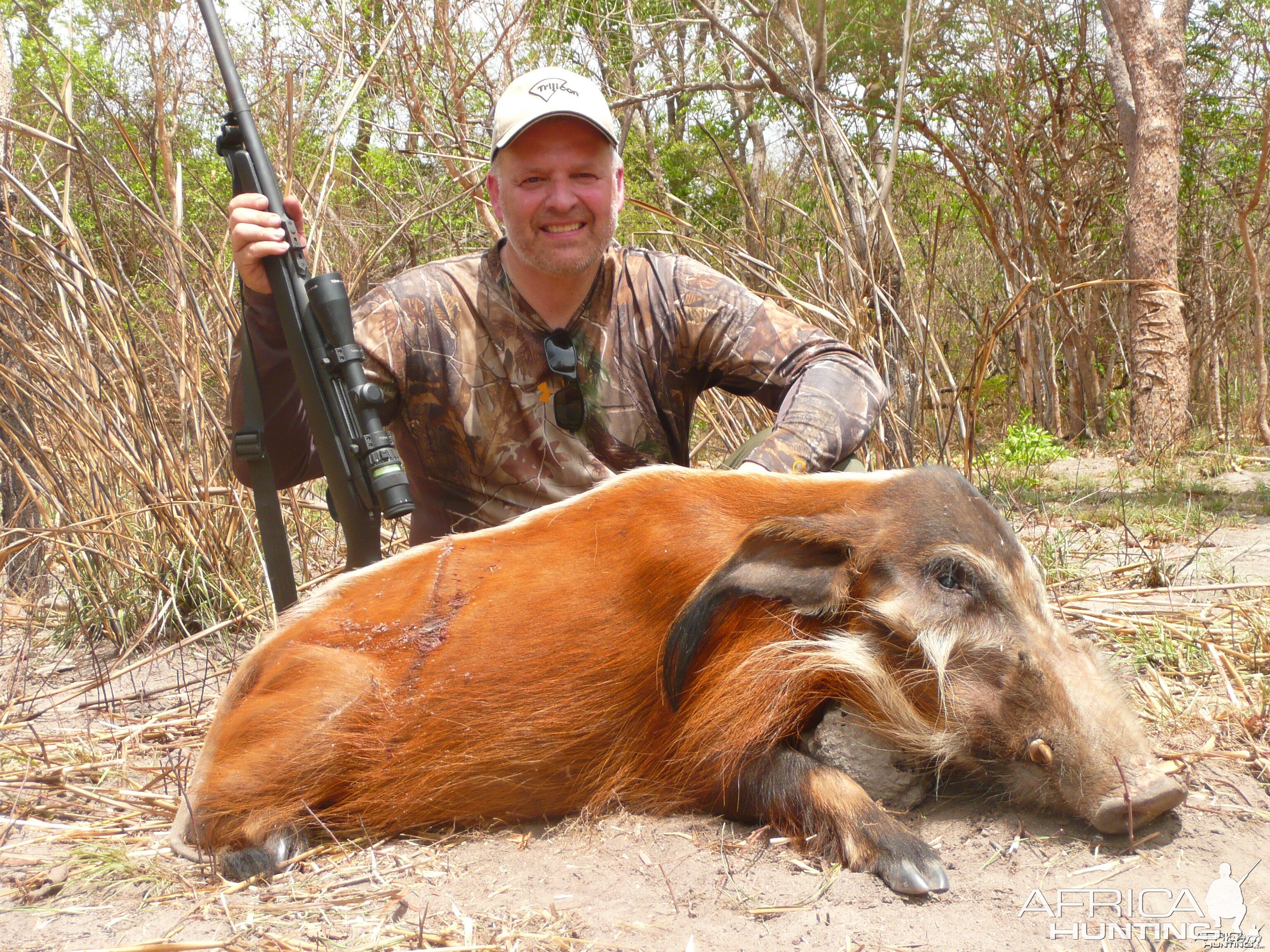 Red River Hog hunted in Central Africa with Club Faune