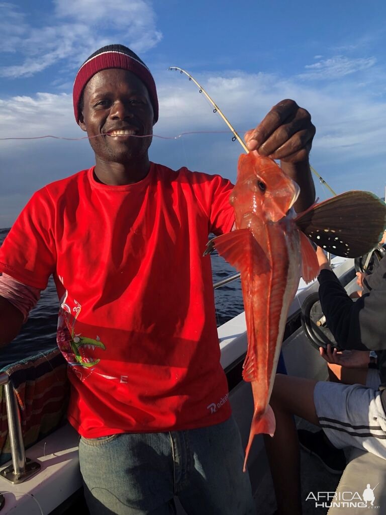 Red Snapper Fishing South Africa
