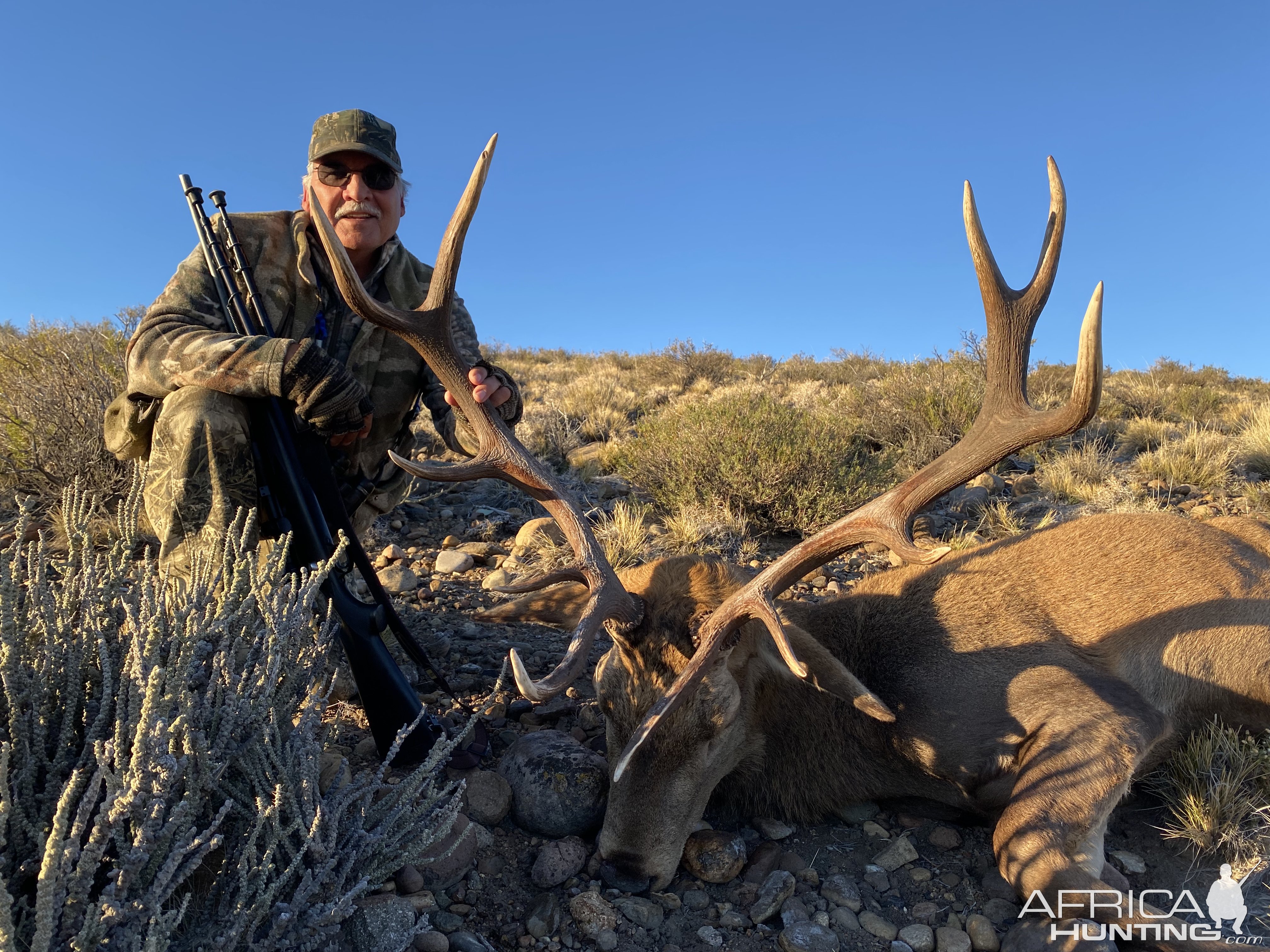 Red Stag Hunt Argentina