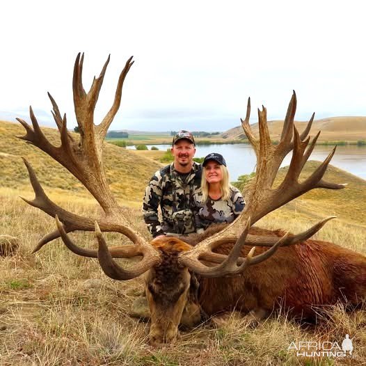 Red Stag Hunt New Zealand