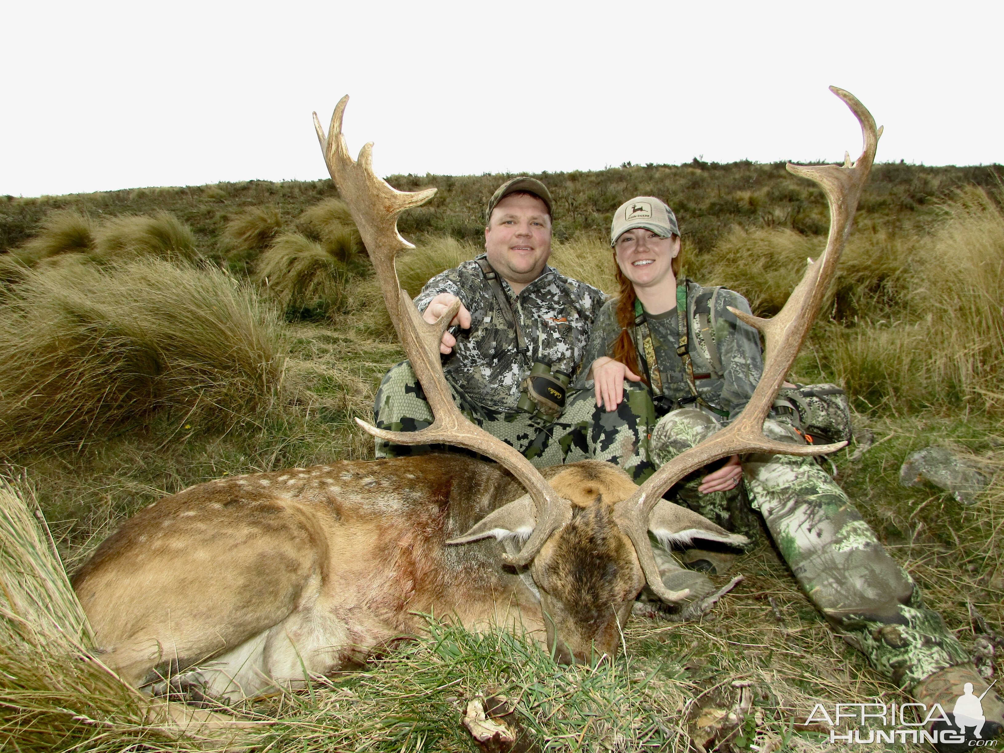 Red Stag Hunt New Zealand