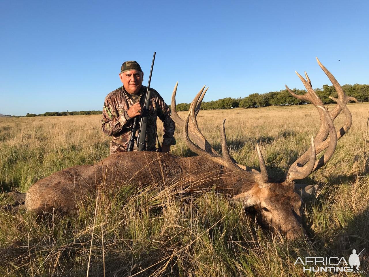 Red Stag Hunting Argentina