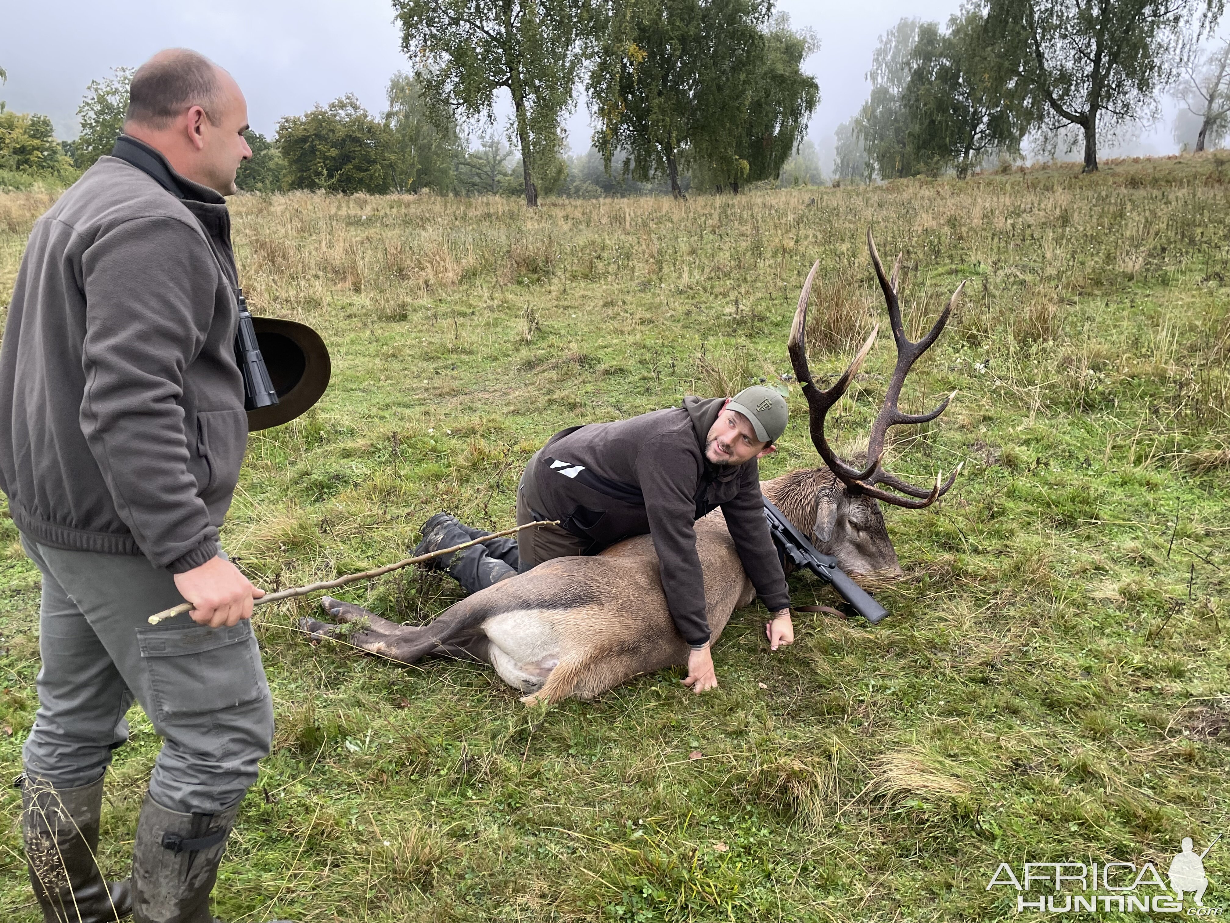 Red Stag Hunting Romania