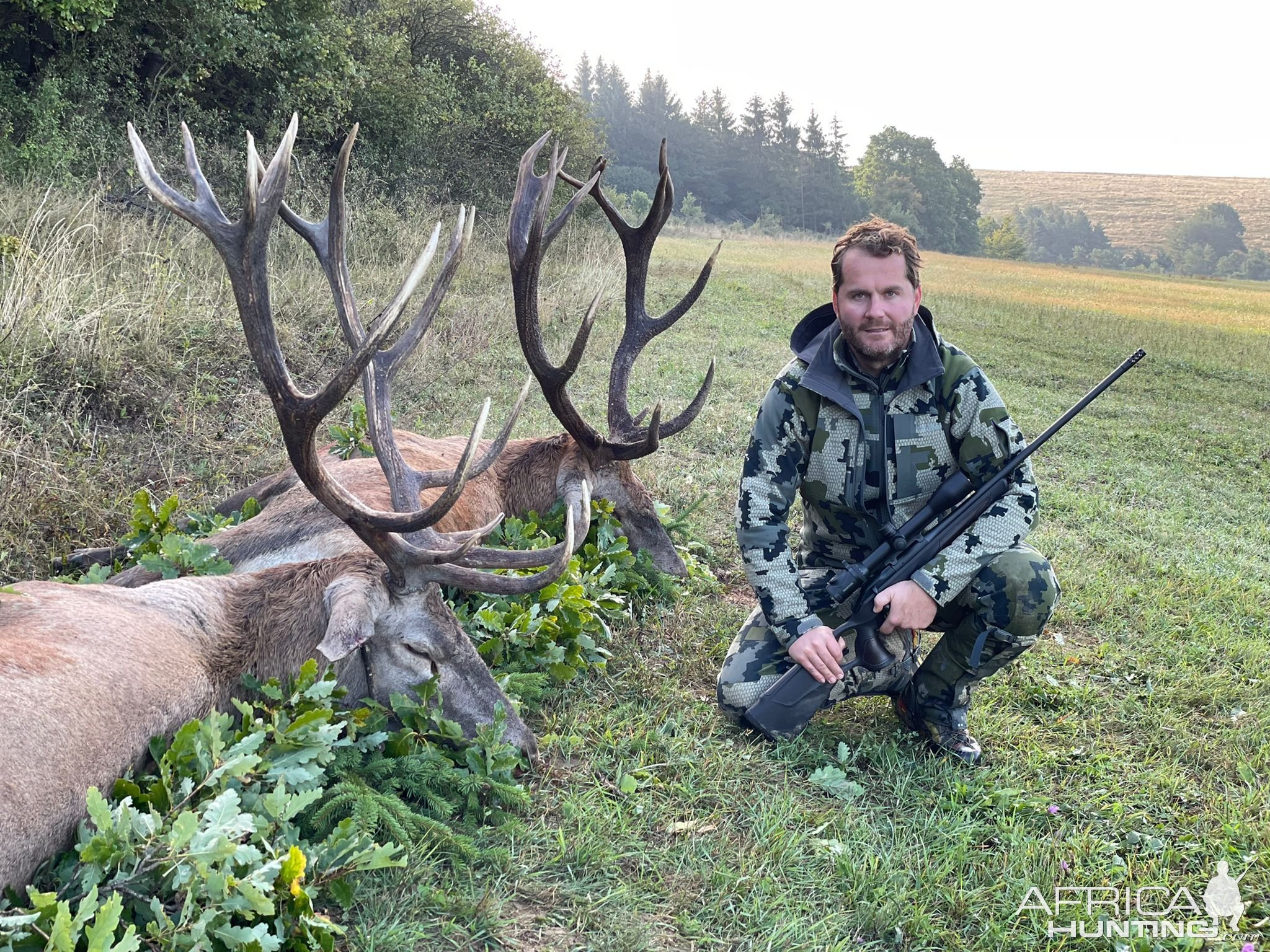 Red Stag Hunting Romania | AfricaHunting.com