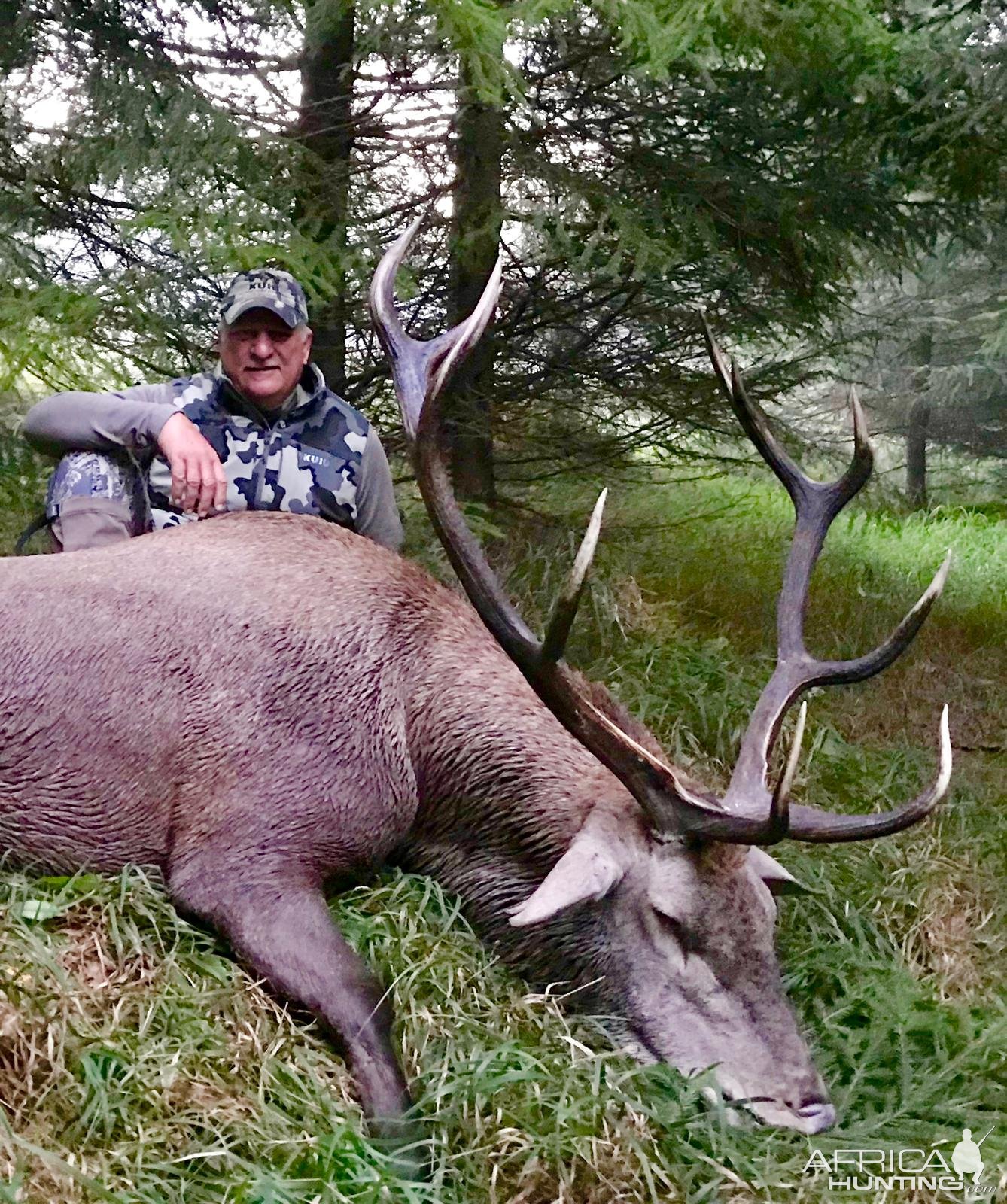 Red Stag Hunting Romania