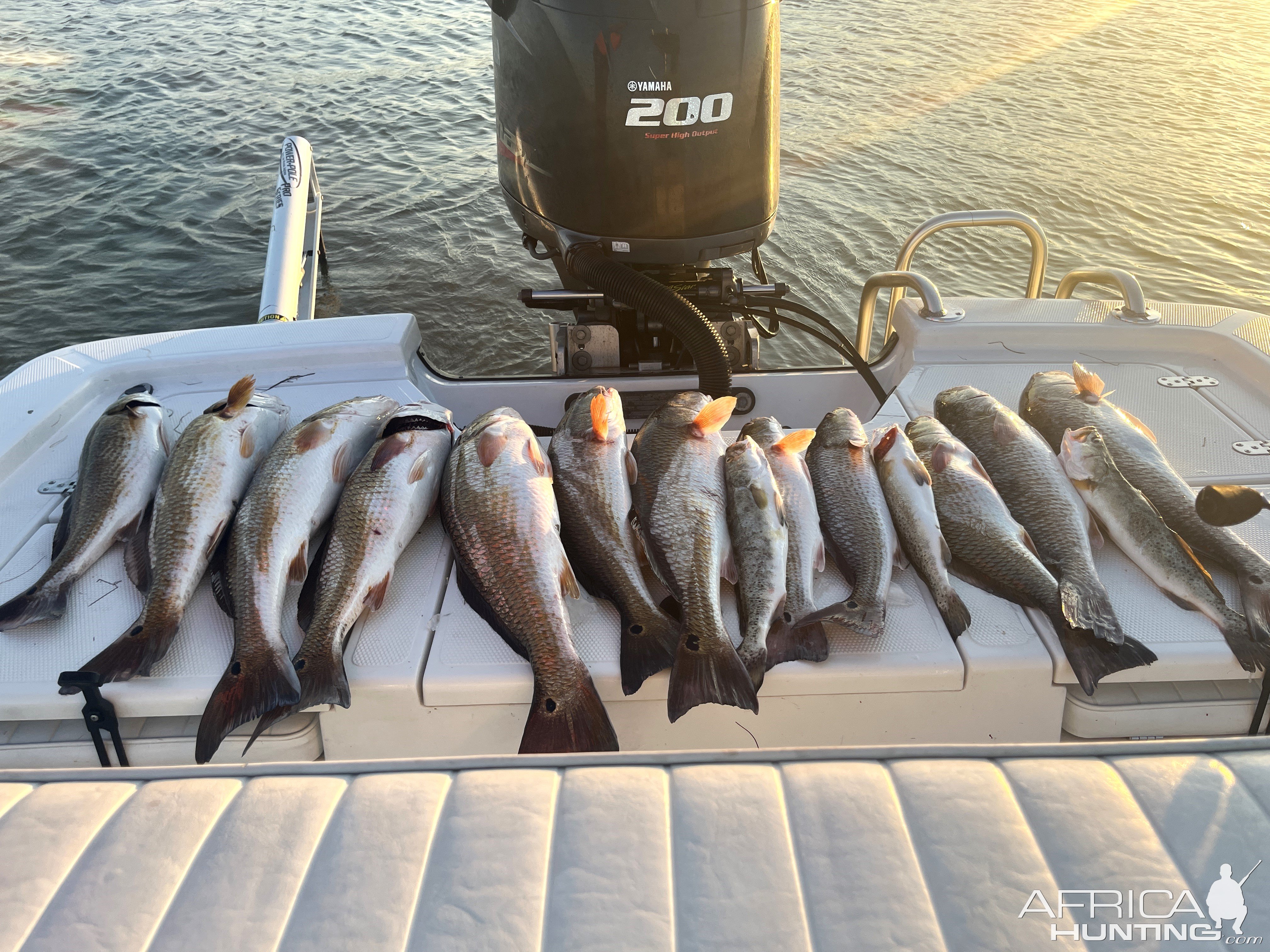 Redfish Fishing Texas