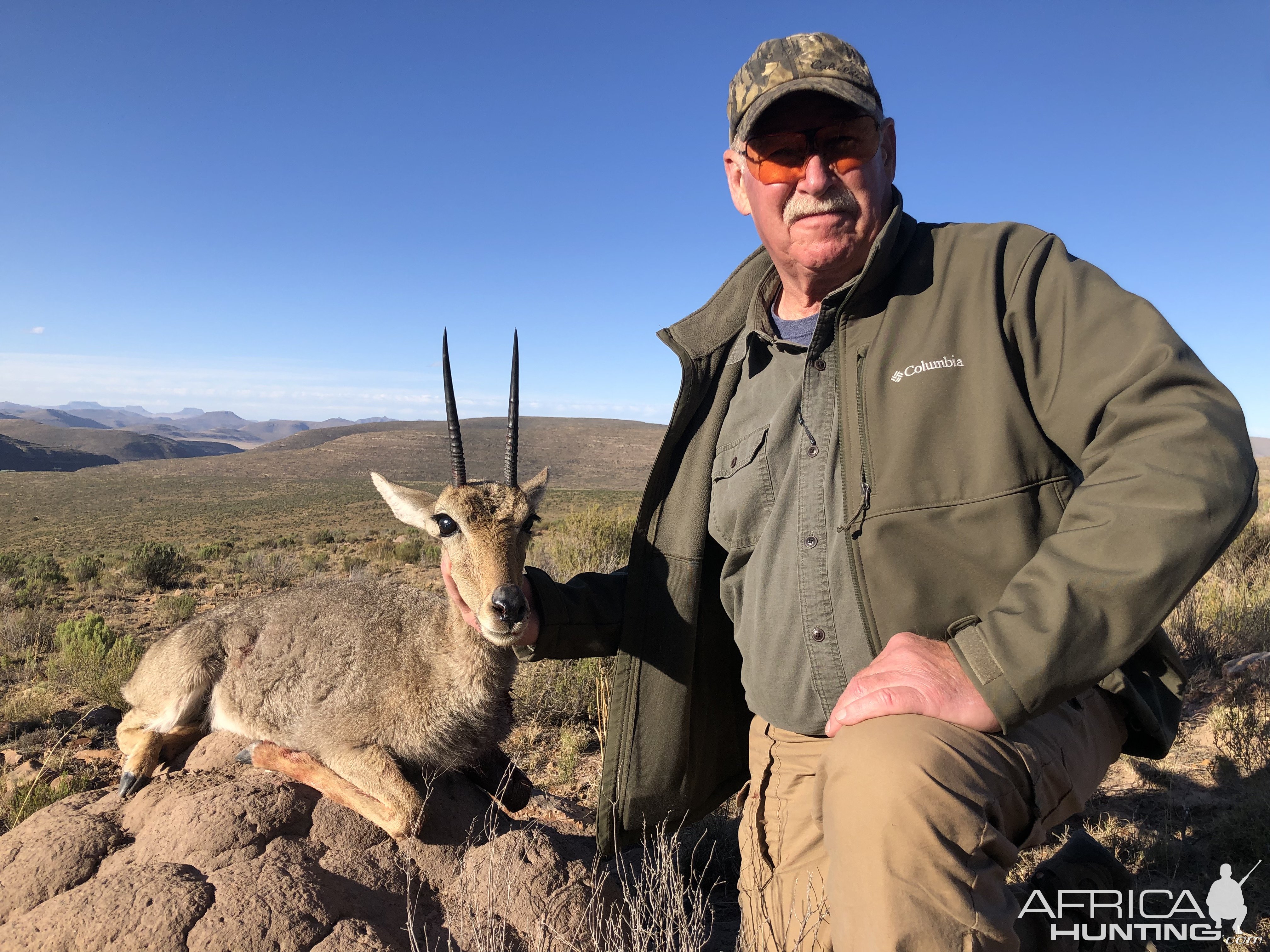 Reedbuck Hunt Karoo South Africa