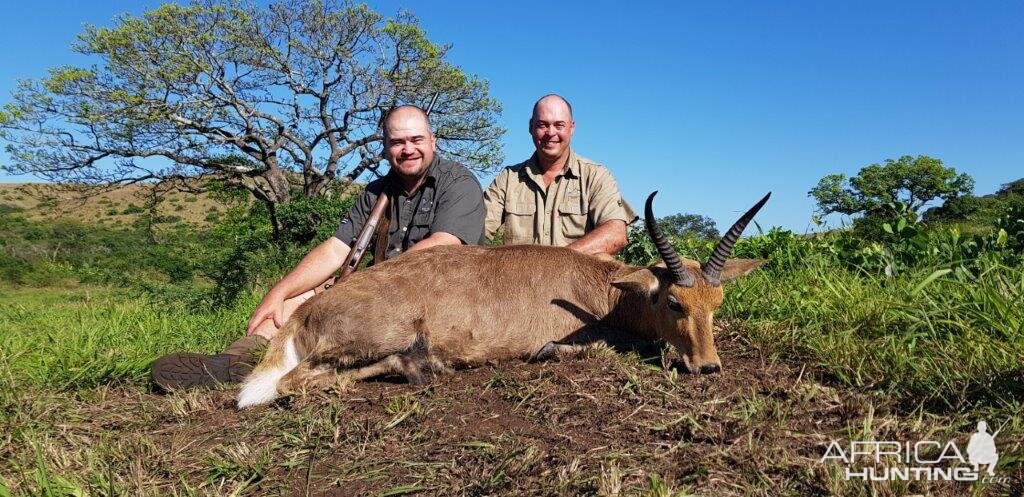 Reedbuck Hunt South Africa