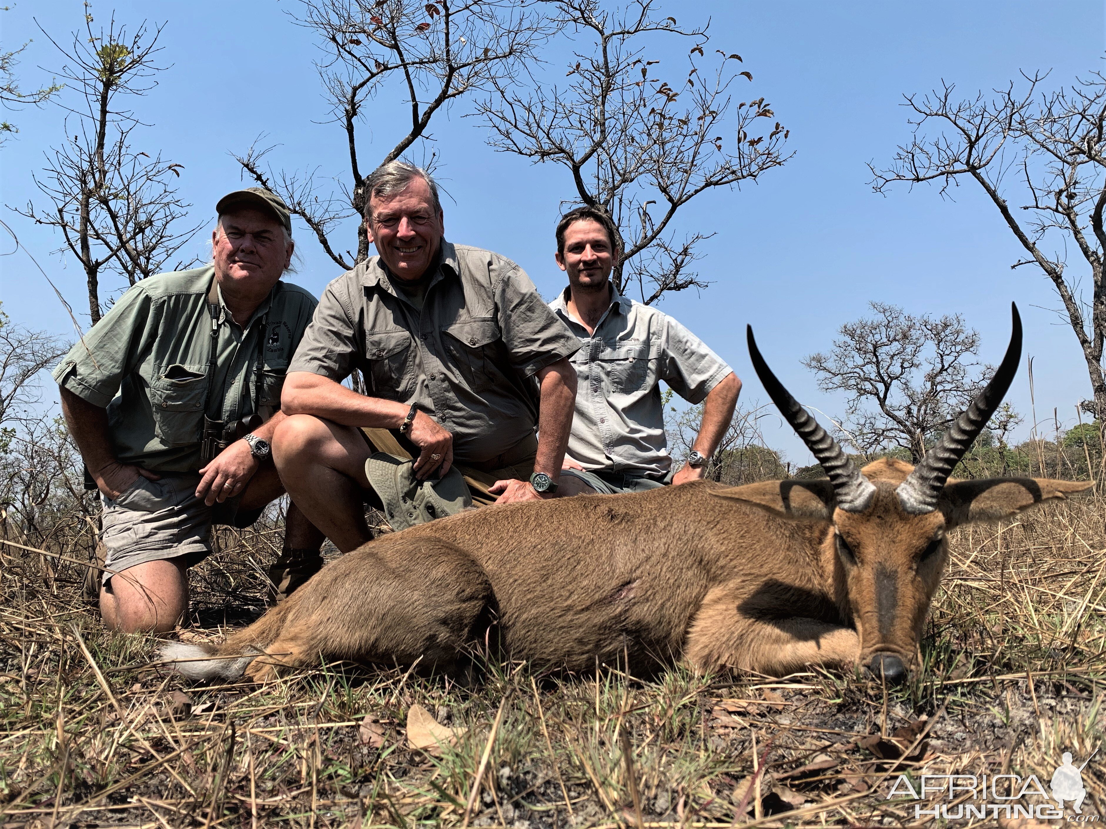 Reedbuck Hunting Zambia