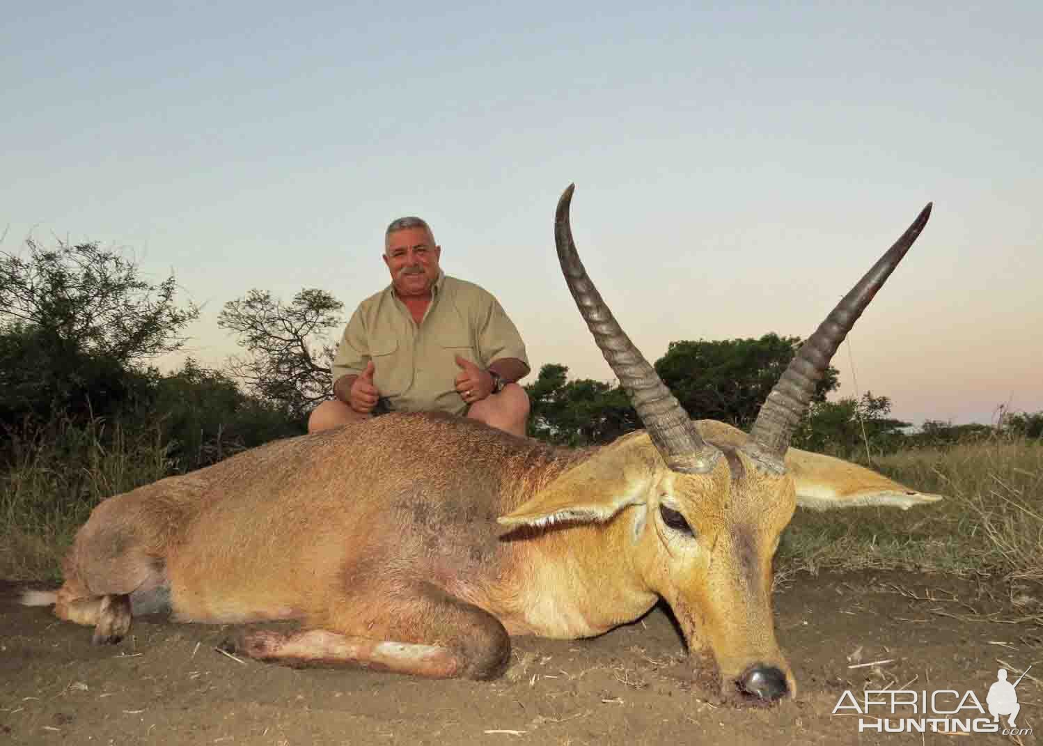 Reedbuck South Africa Hunting