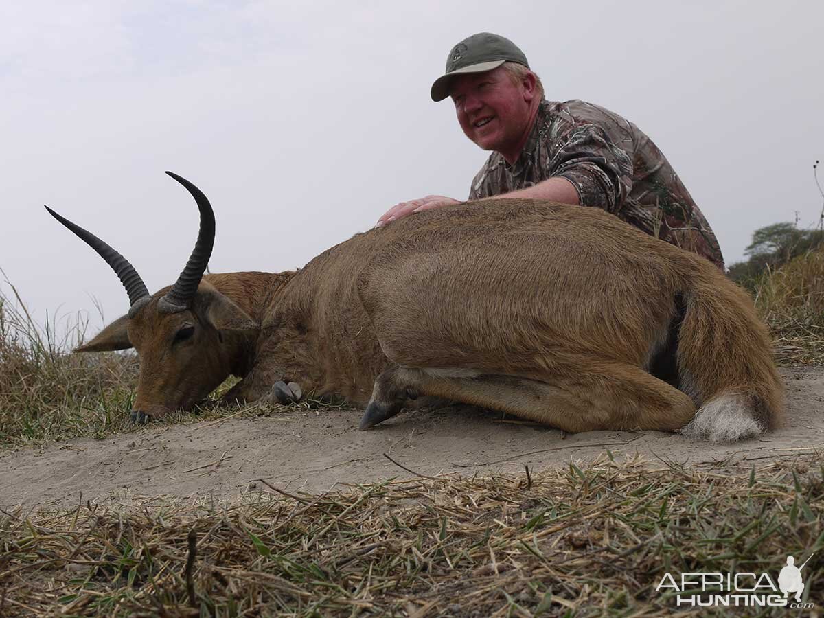 Reedbuck Zambia Hunting