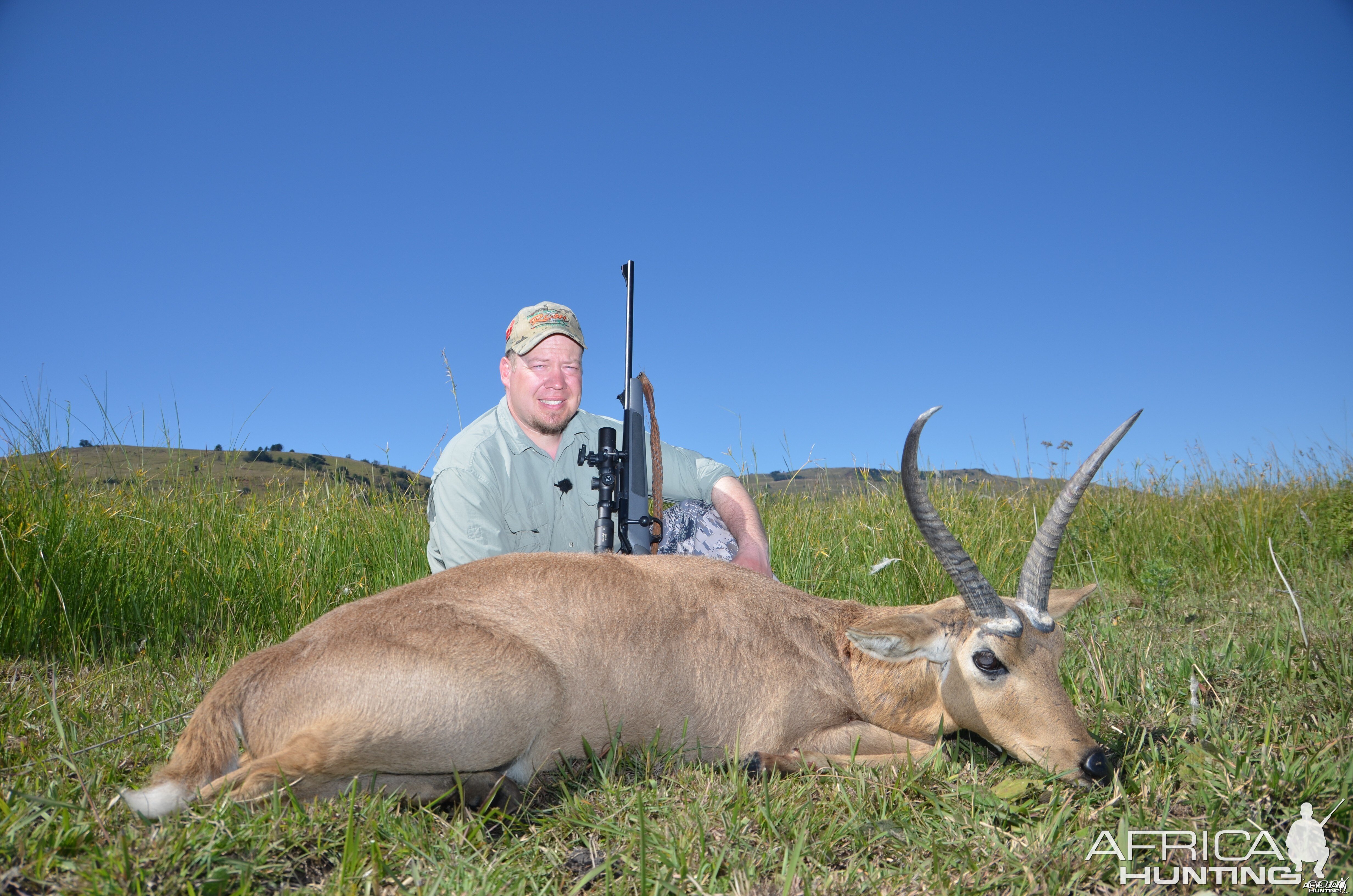 Reedbuck