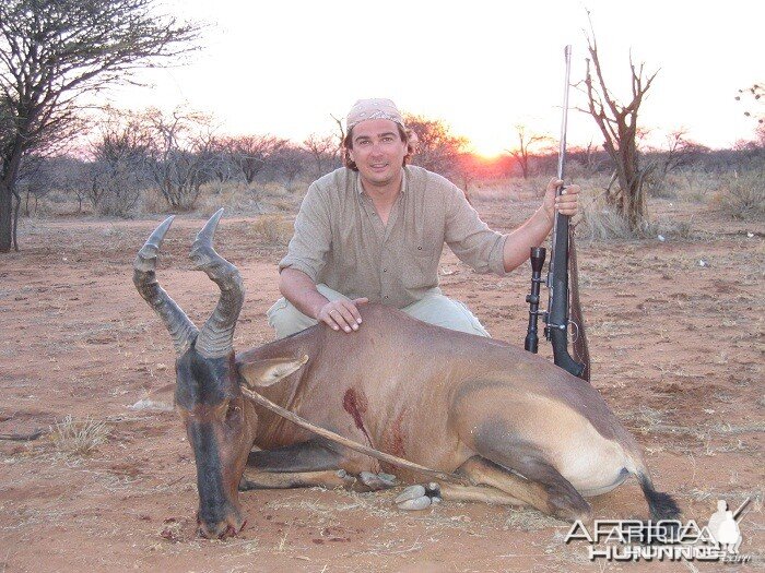 Remember this magnificient red hartebeest!