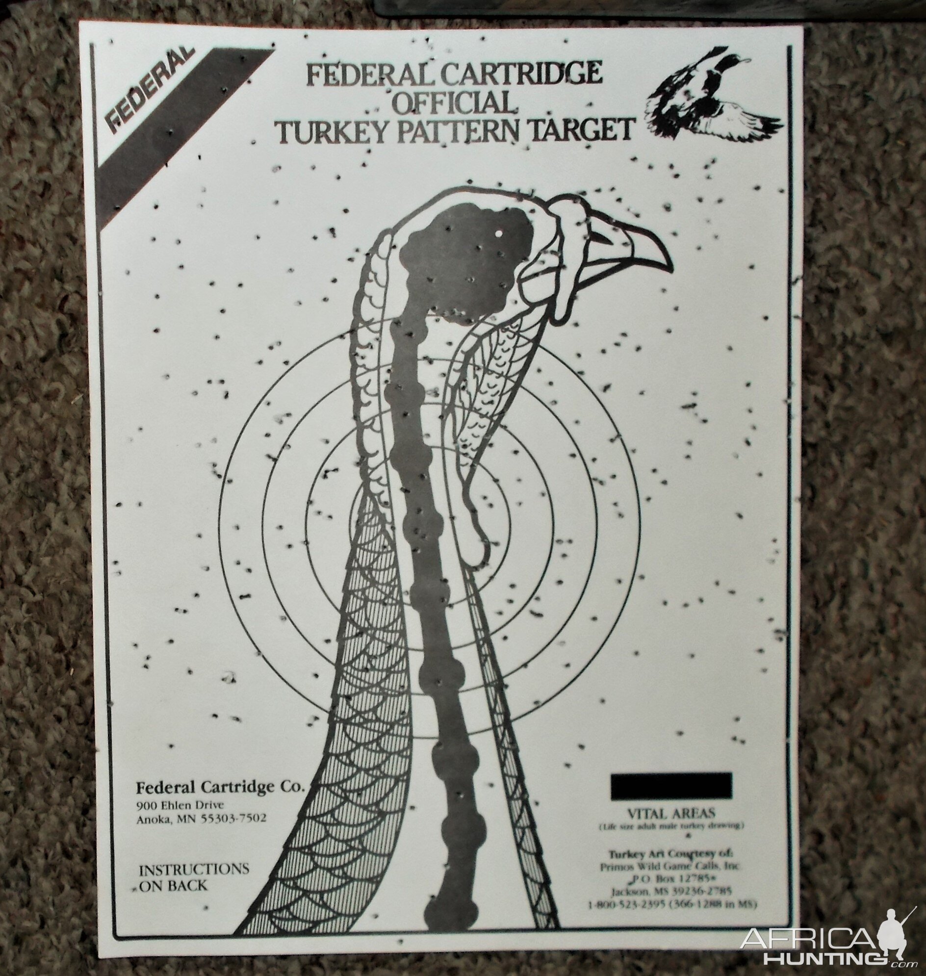 Remington 12ga 3" Mag 870 Rifle Range Shots