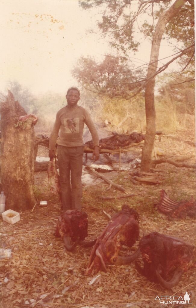 Republic of Upper Volta Hunting Roan 1974