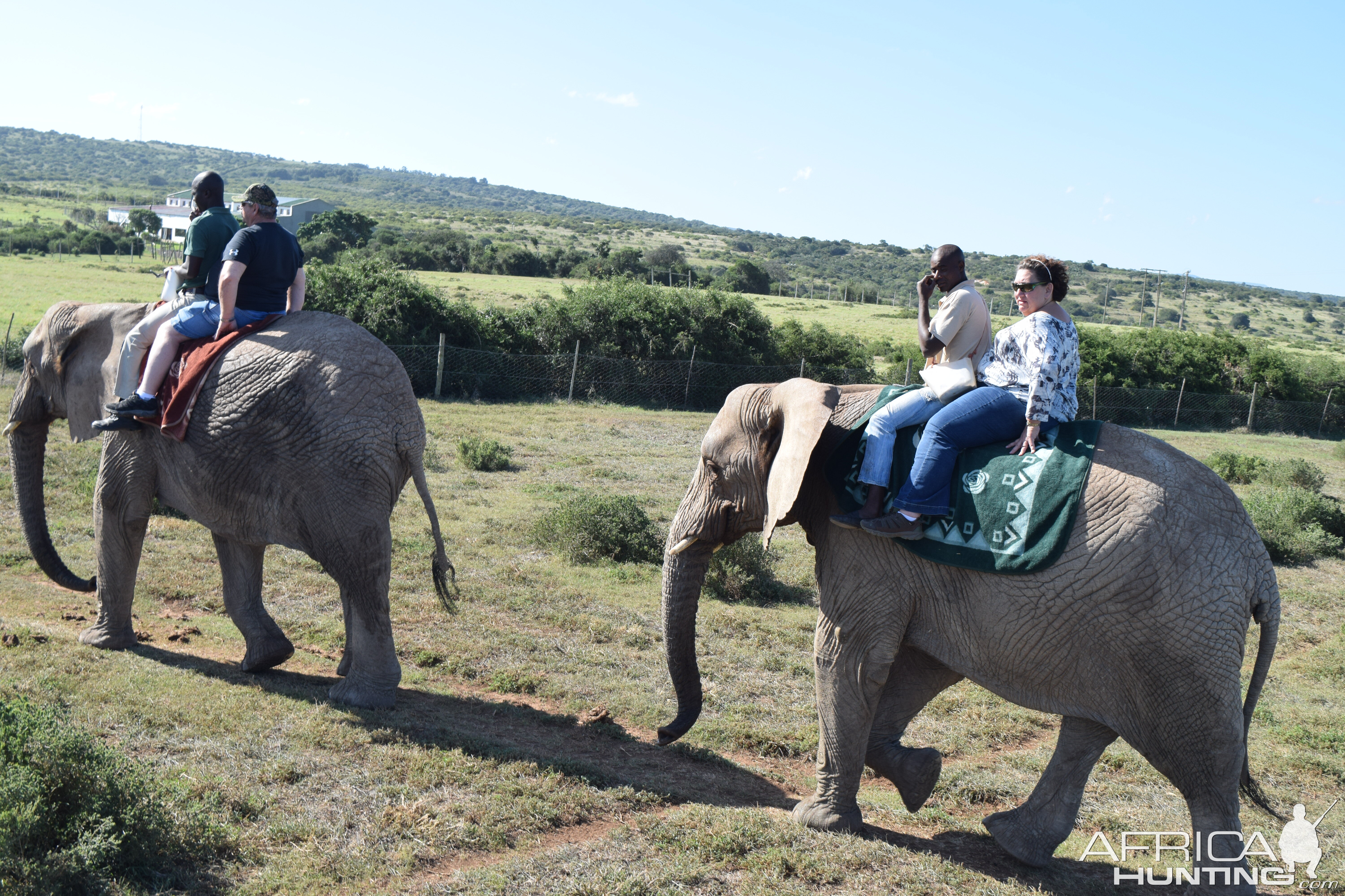 Riding Elephant