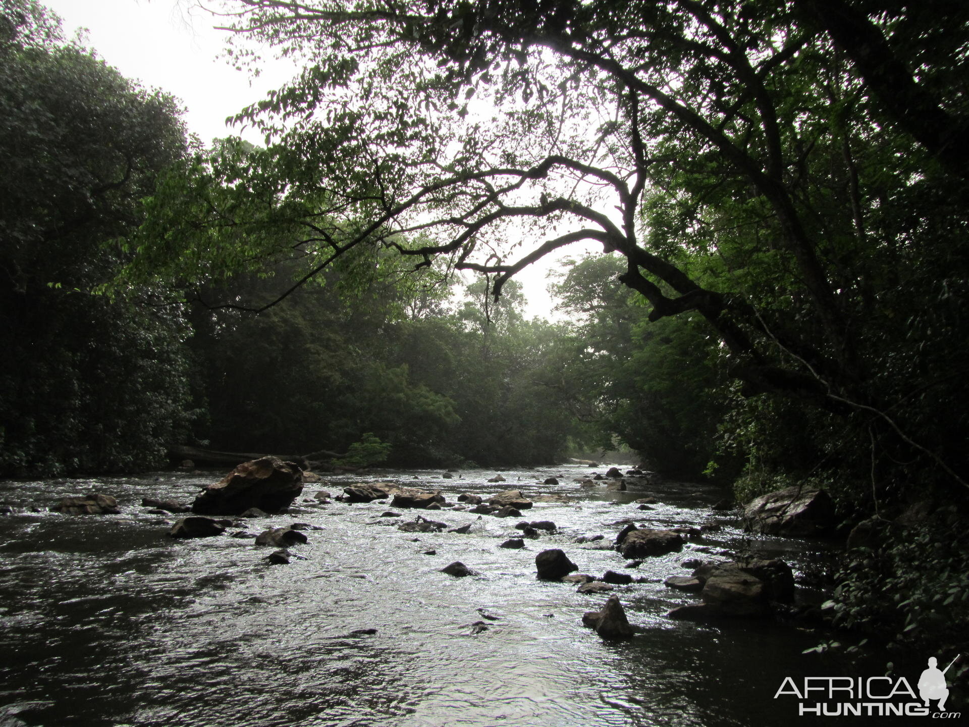 River in CAR