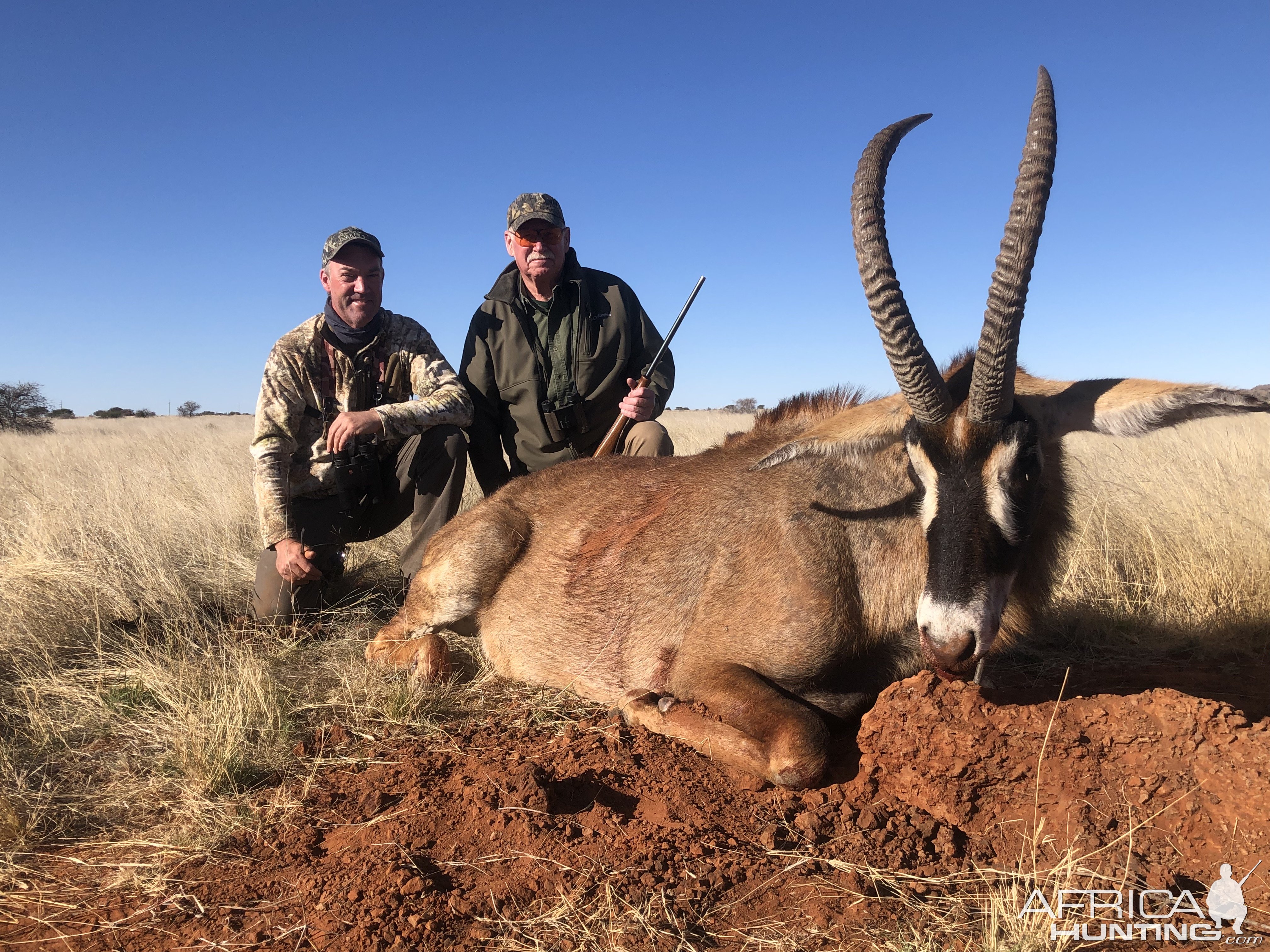 Roan Hunt Karoo South Africa