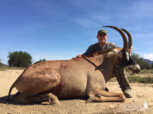 Roan Hunting South Africa