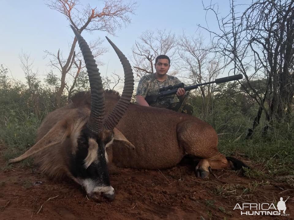 Roan Hunting South Africa