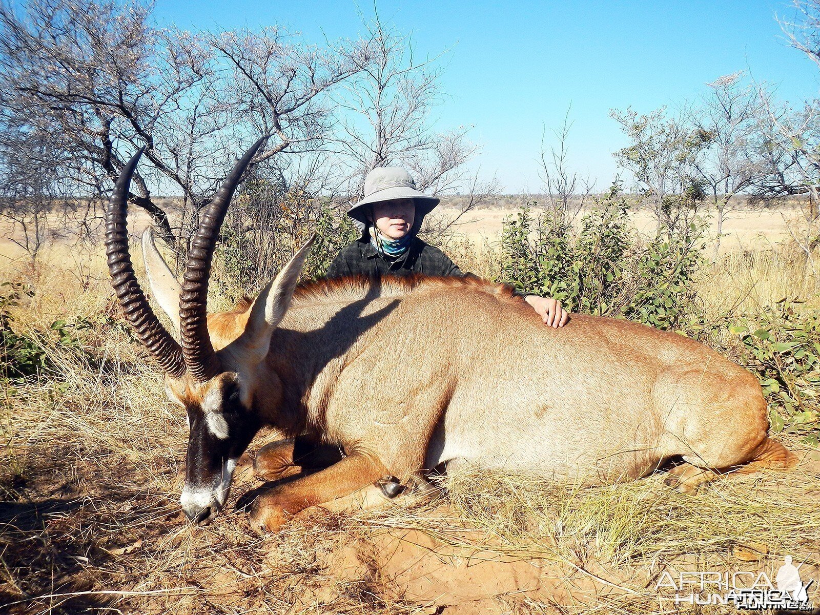 Roan Namibia, July 2014