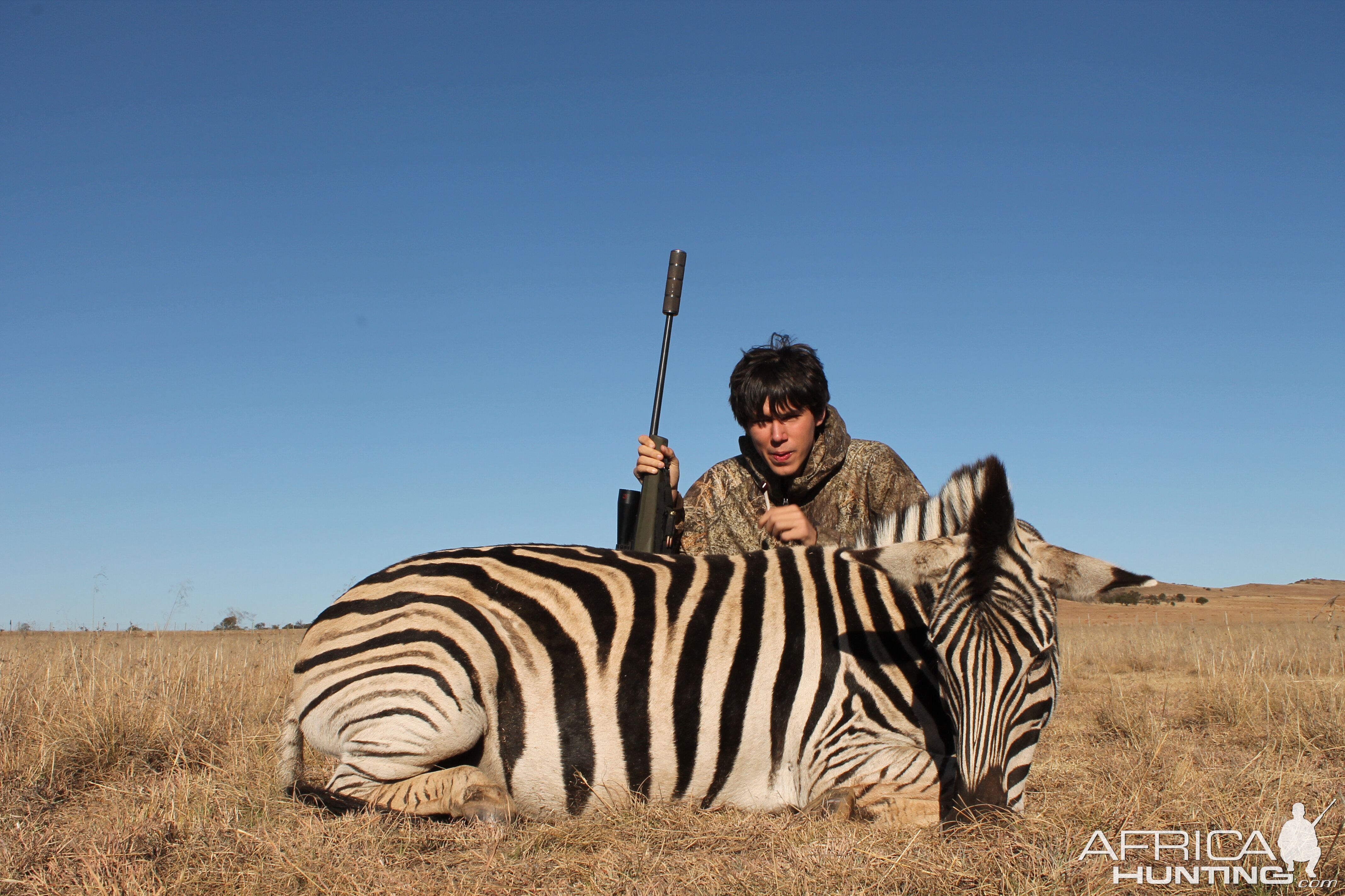 Robbie's Zebra at Huntershill