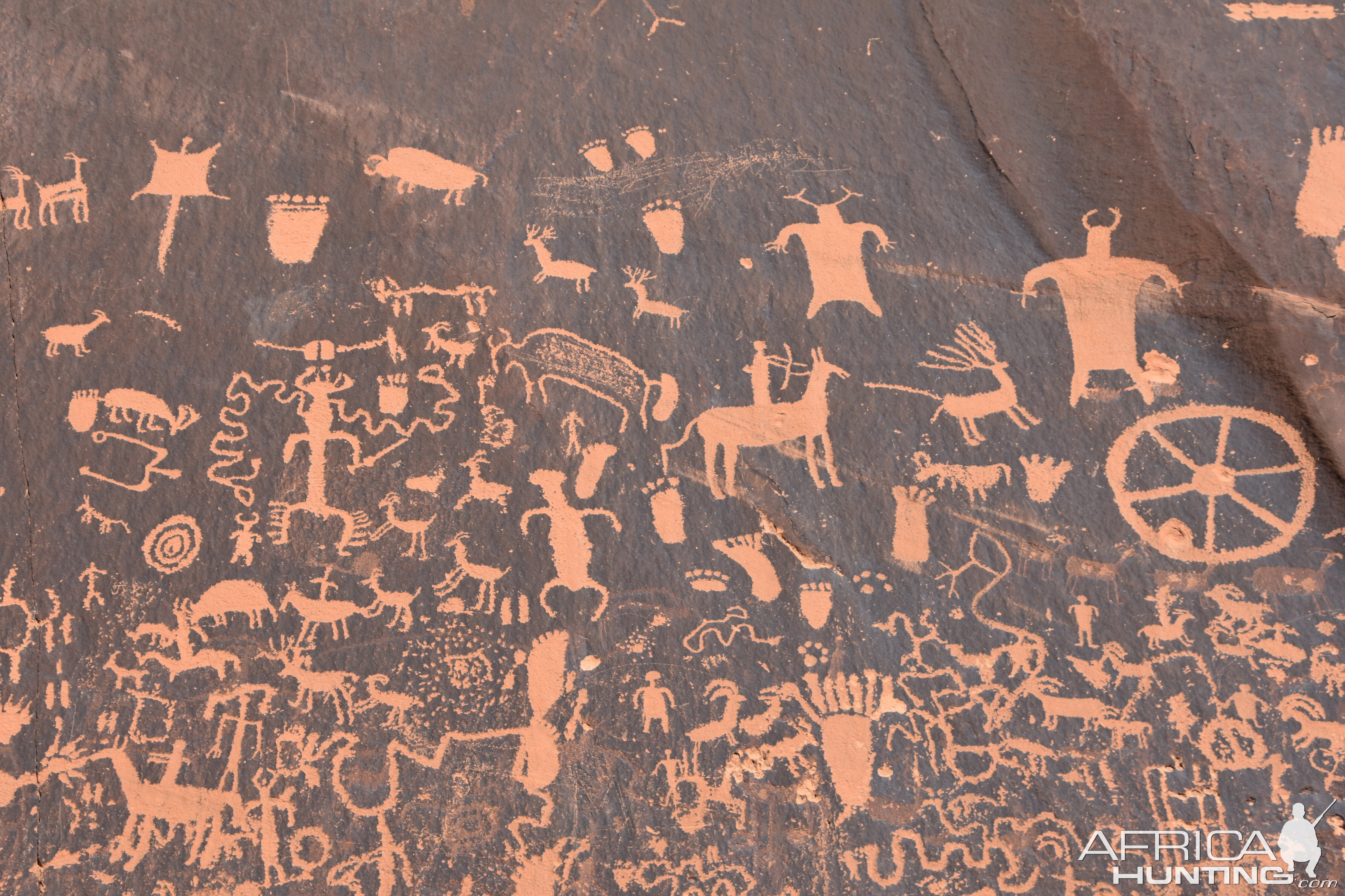 Rock Art Ponderosa forest Utah USA