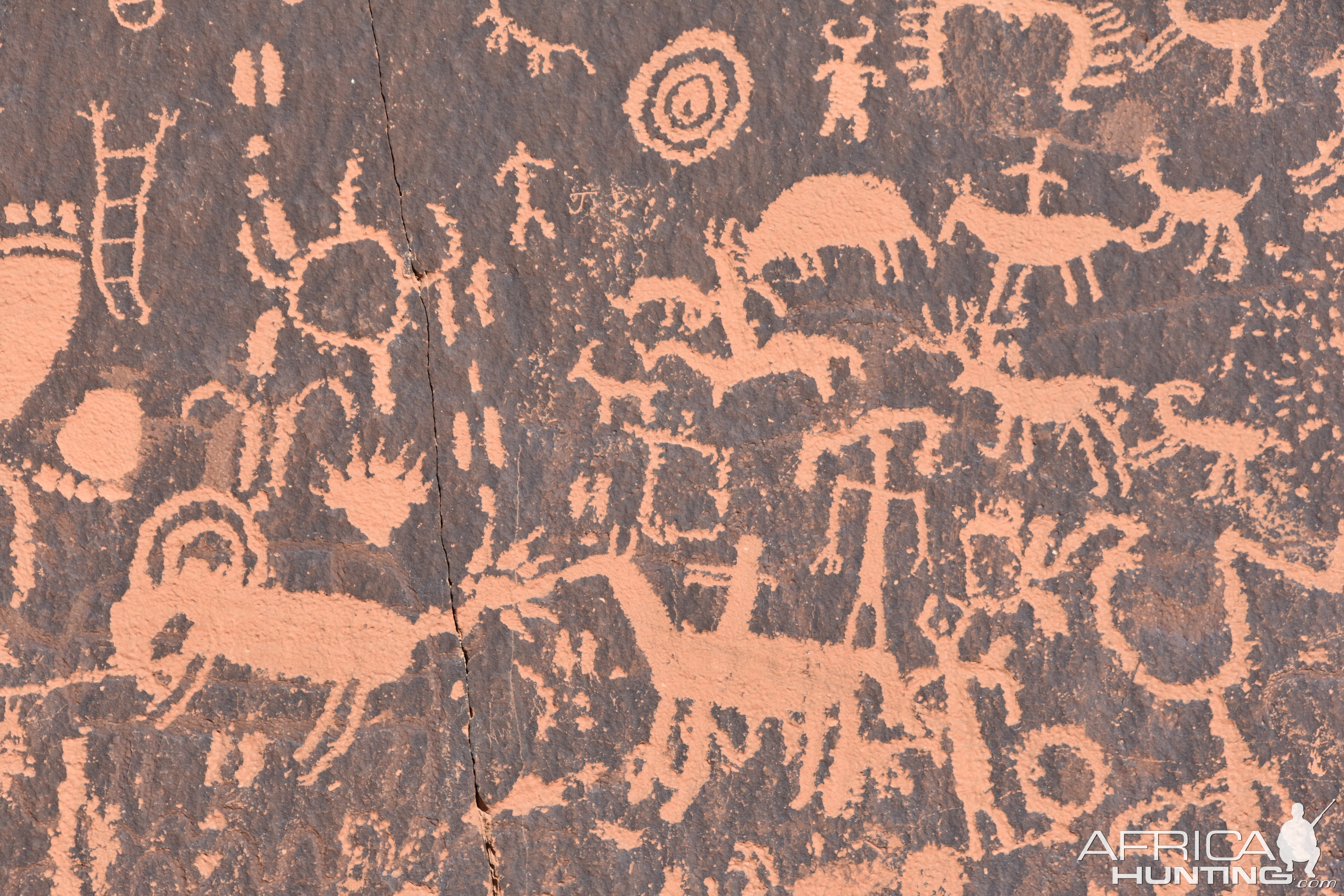 Rock Art Ponderosa forest Utah USA