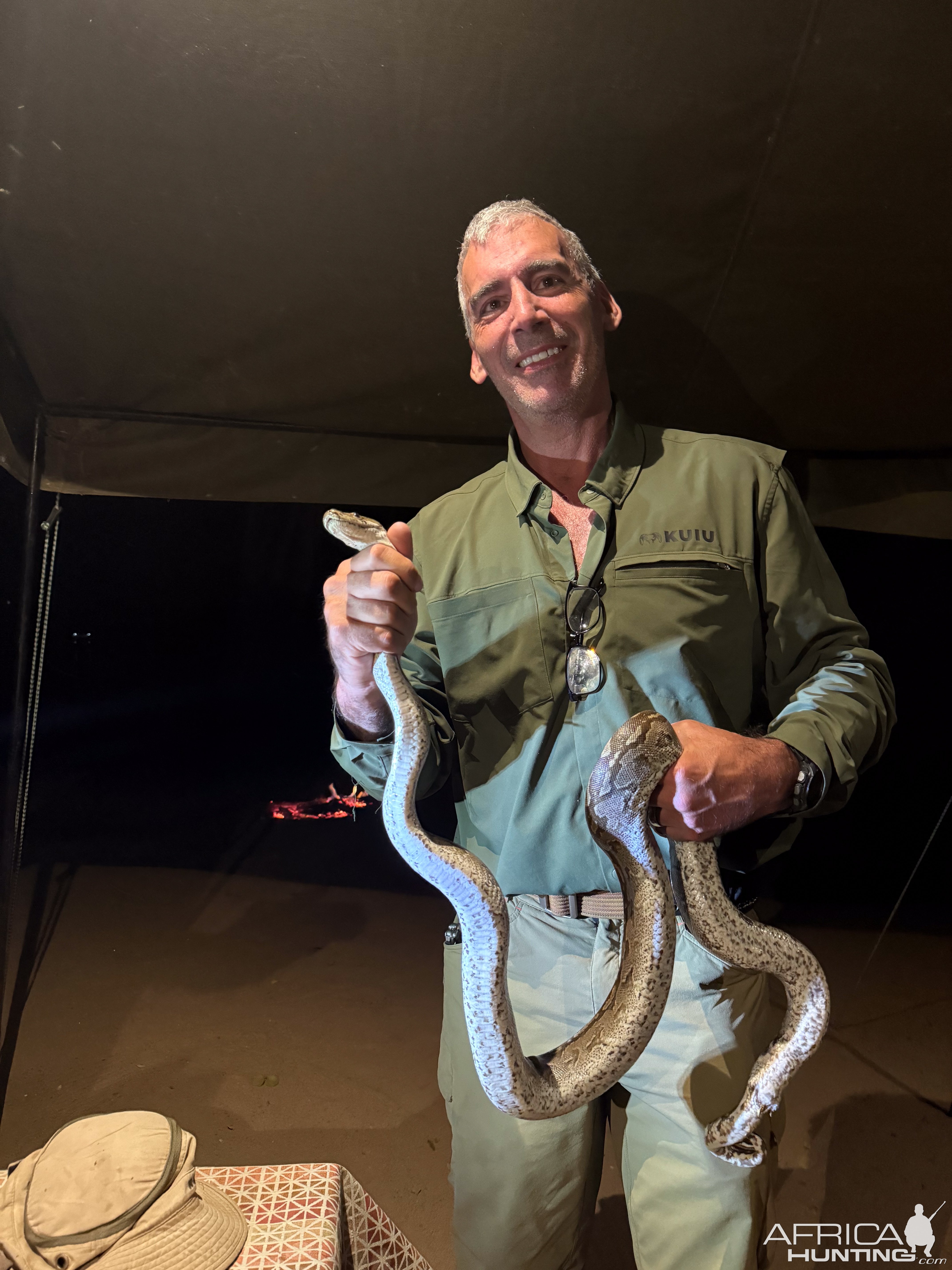 Rock Python Zimbabwe