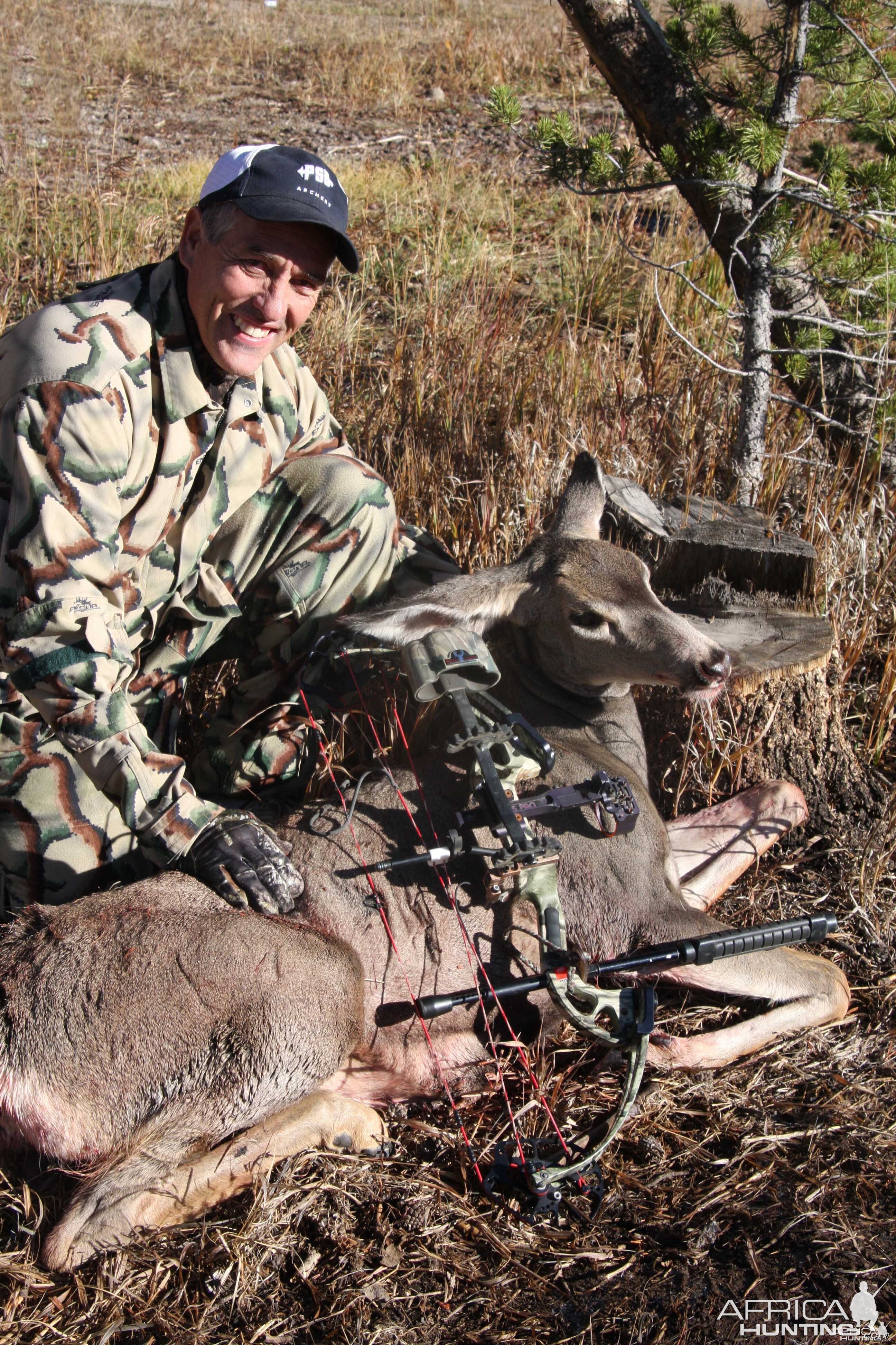 Rocky Mtn. Mule deer-Colorado