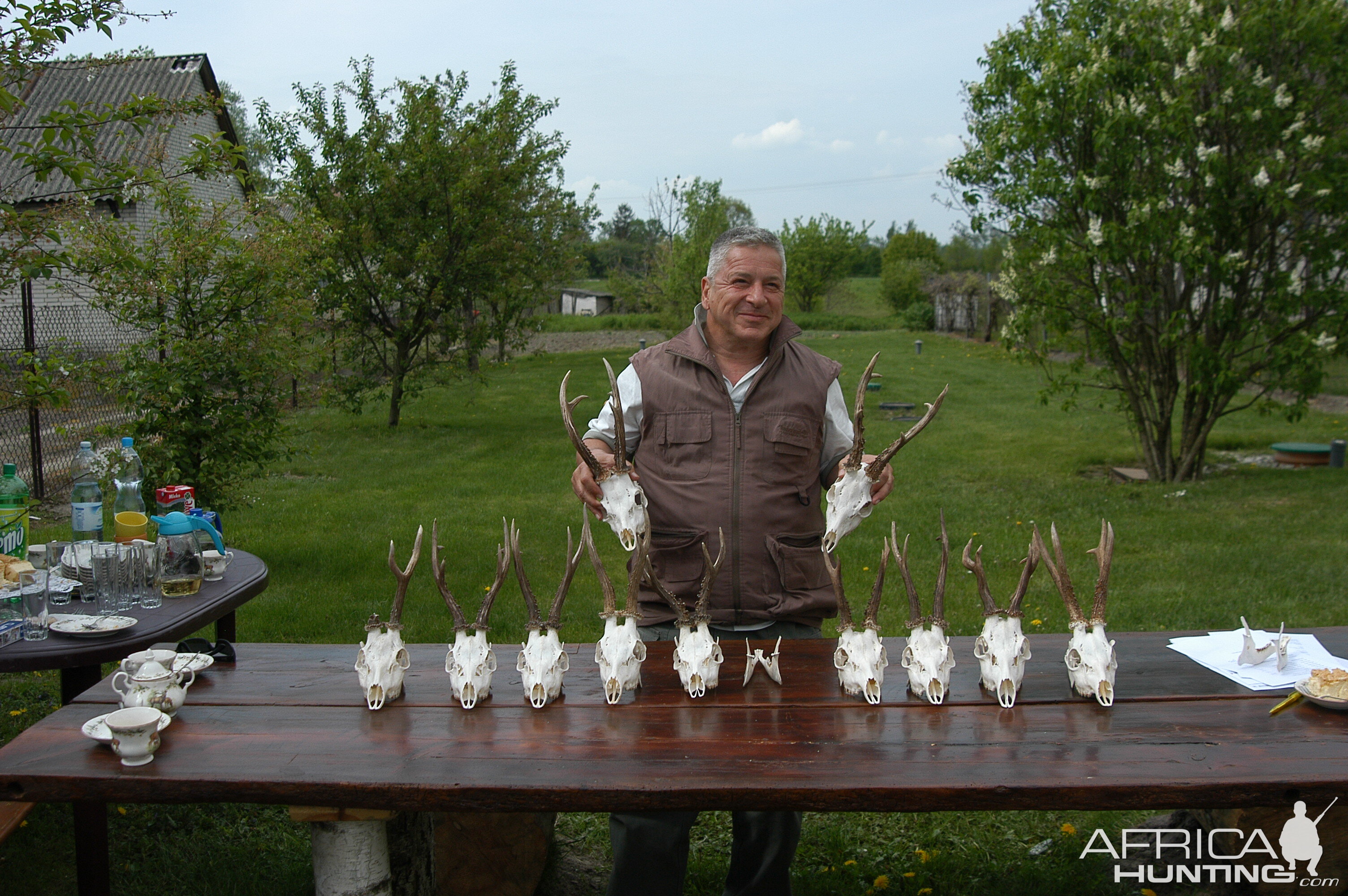 ROE BUCKS 2011 POLAND