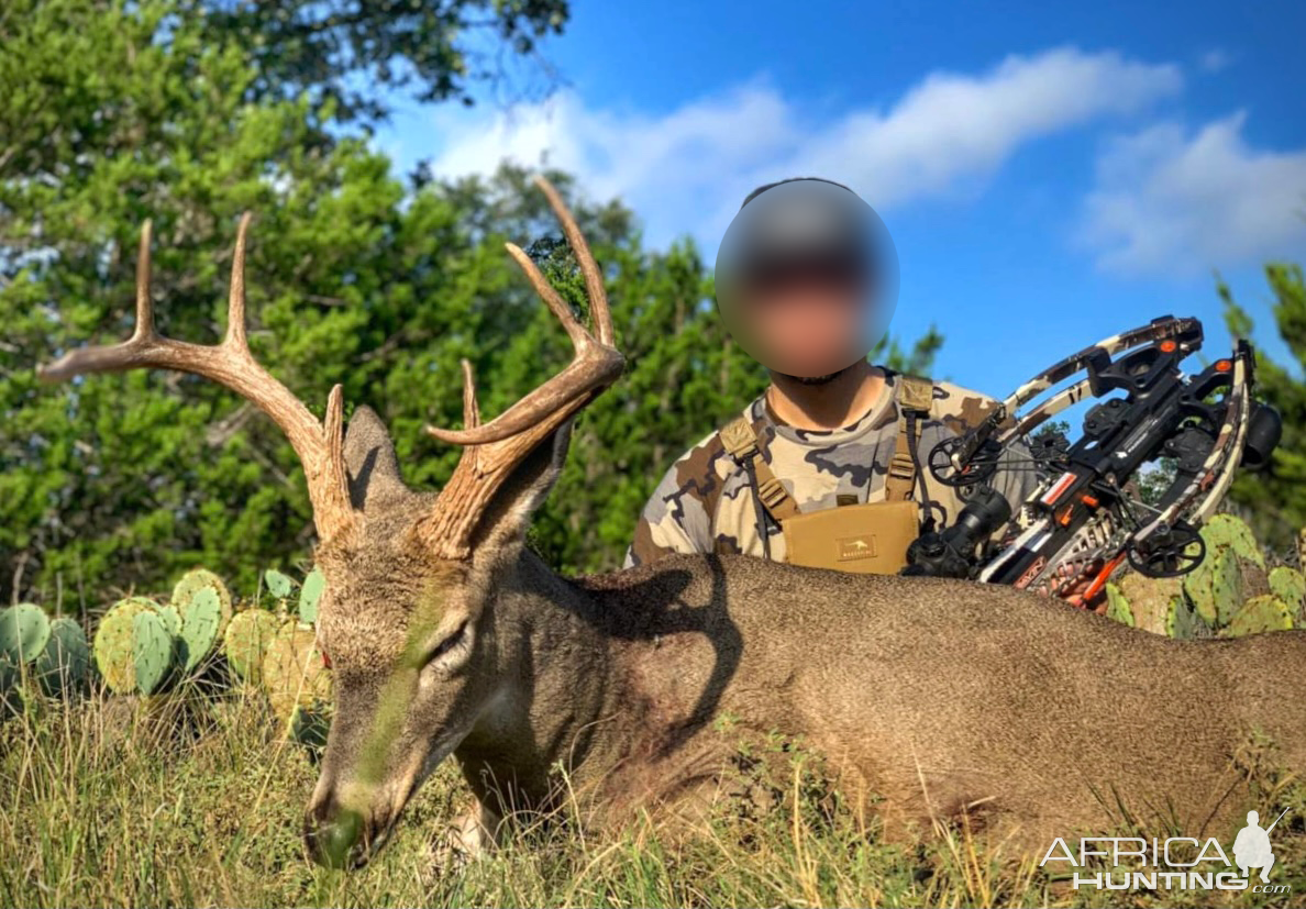 Roe Deer Bow Hunting