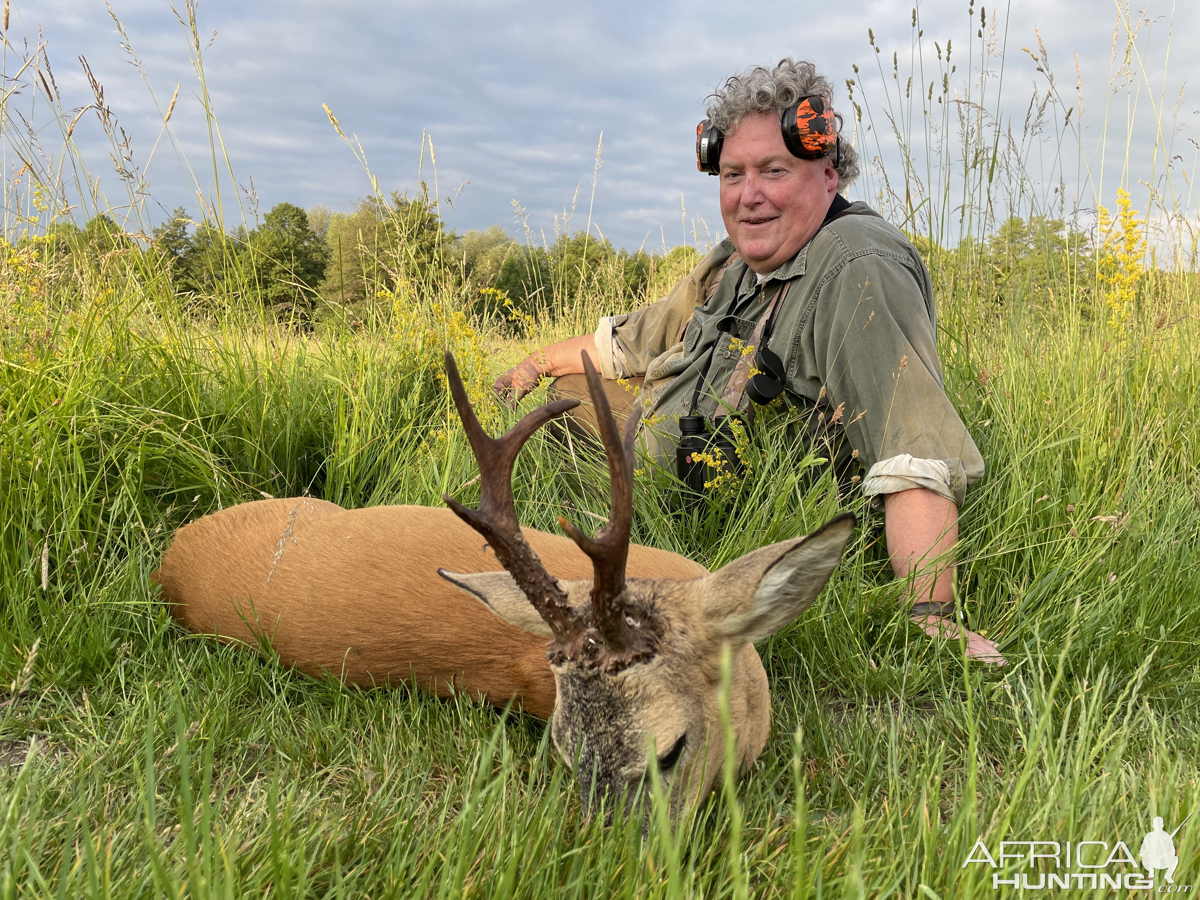 Roe Deer Hunting Romania