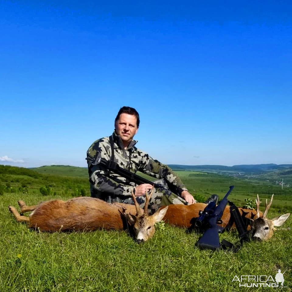 Roe Deer Hunting Romania