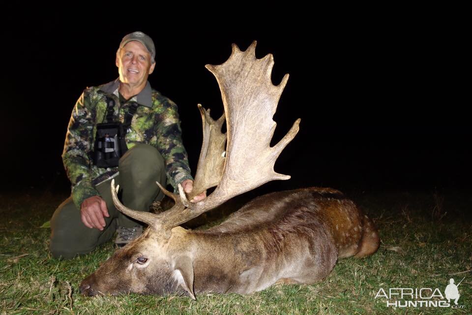 Romania Hunting Fallow Deer