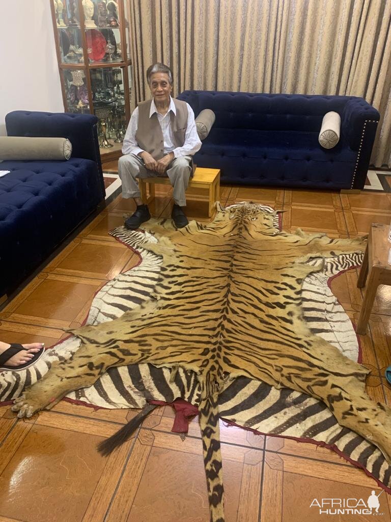 Royal Bengal Tiger Rug