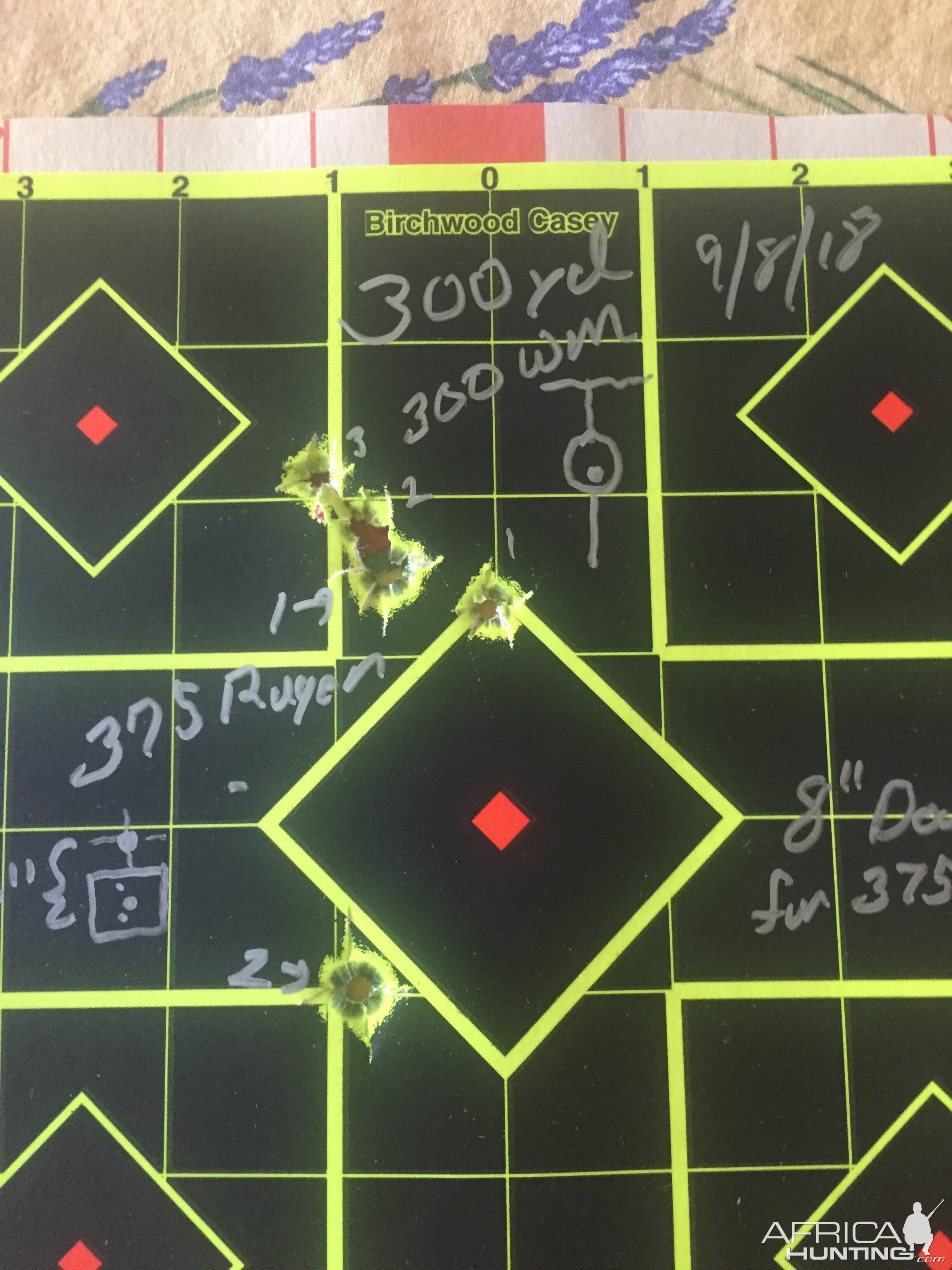 Ruger #1 in 300 WM Range Shooting