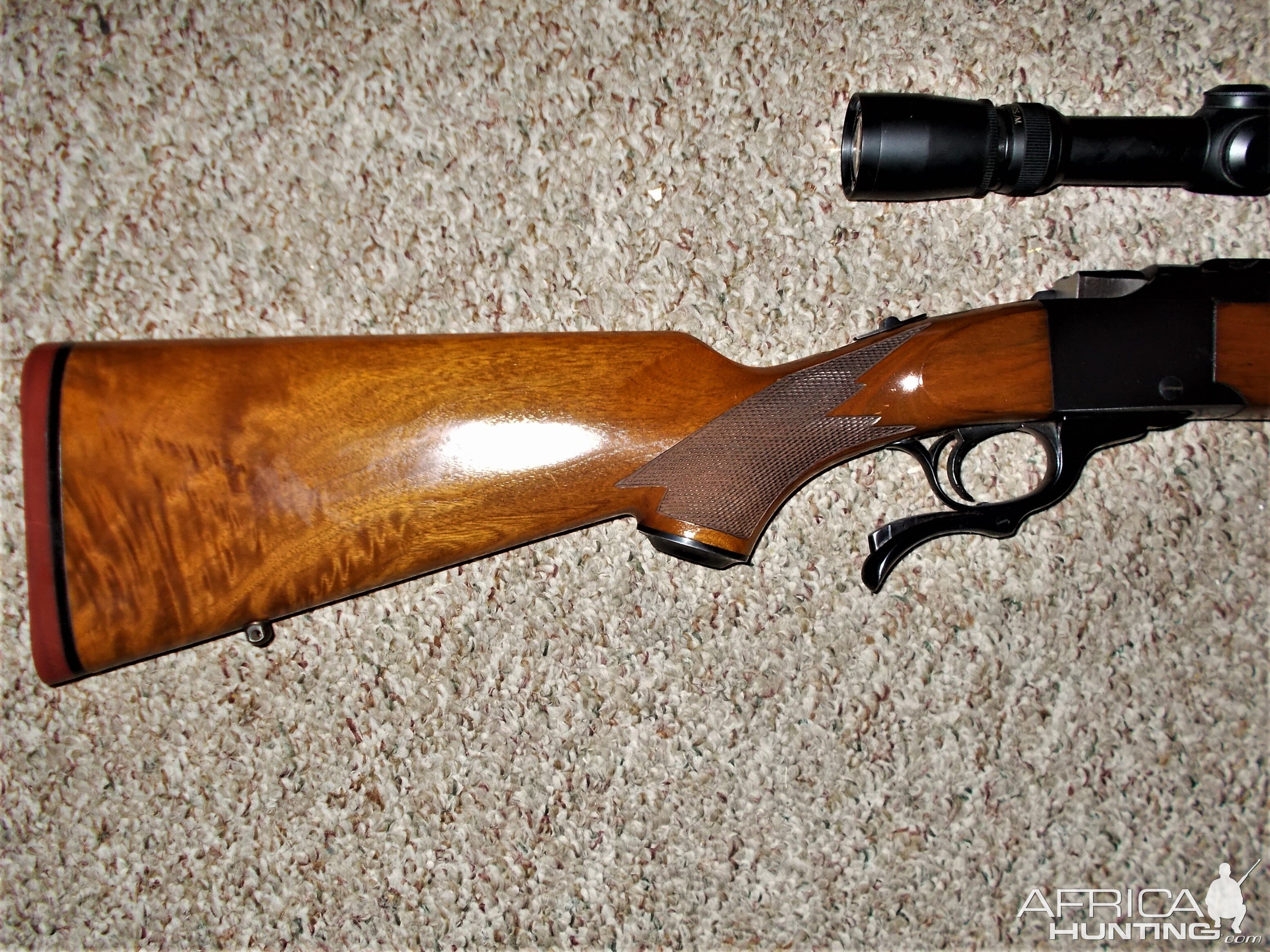 Ruger #1 in 45-70 Rifle