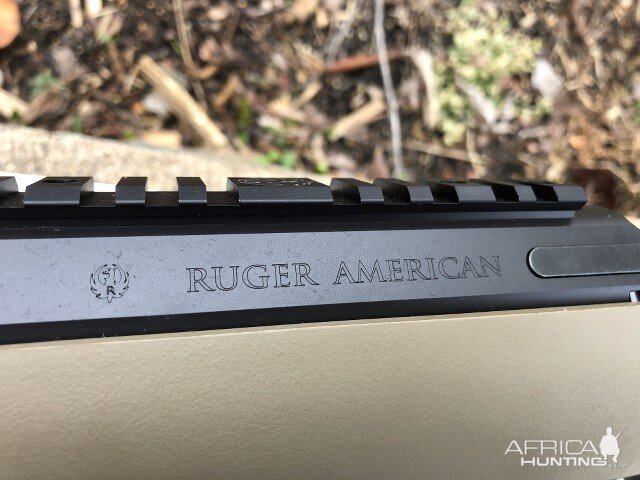 Ruger American Ranch Rifle in 450 Bushmaster