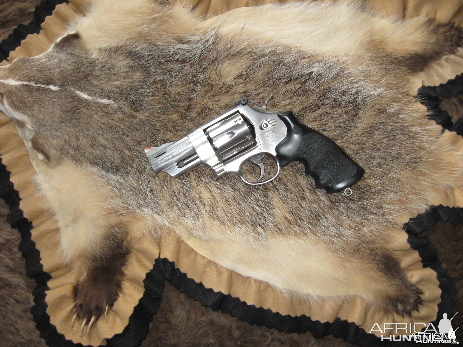 s&w trail boss,44 mag.