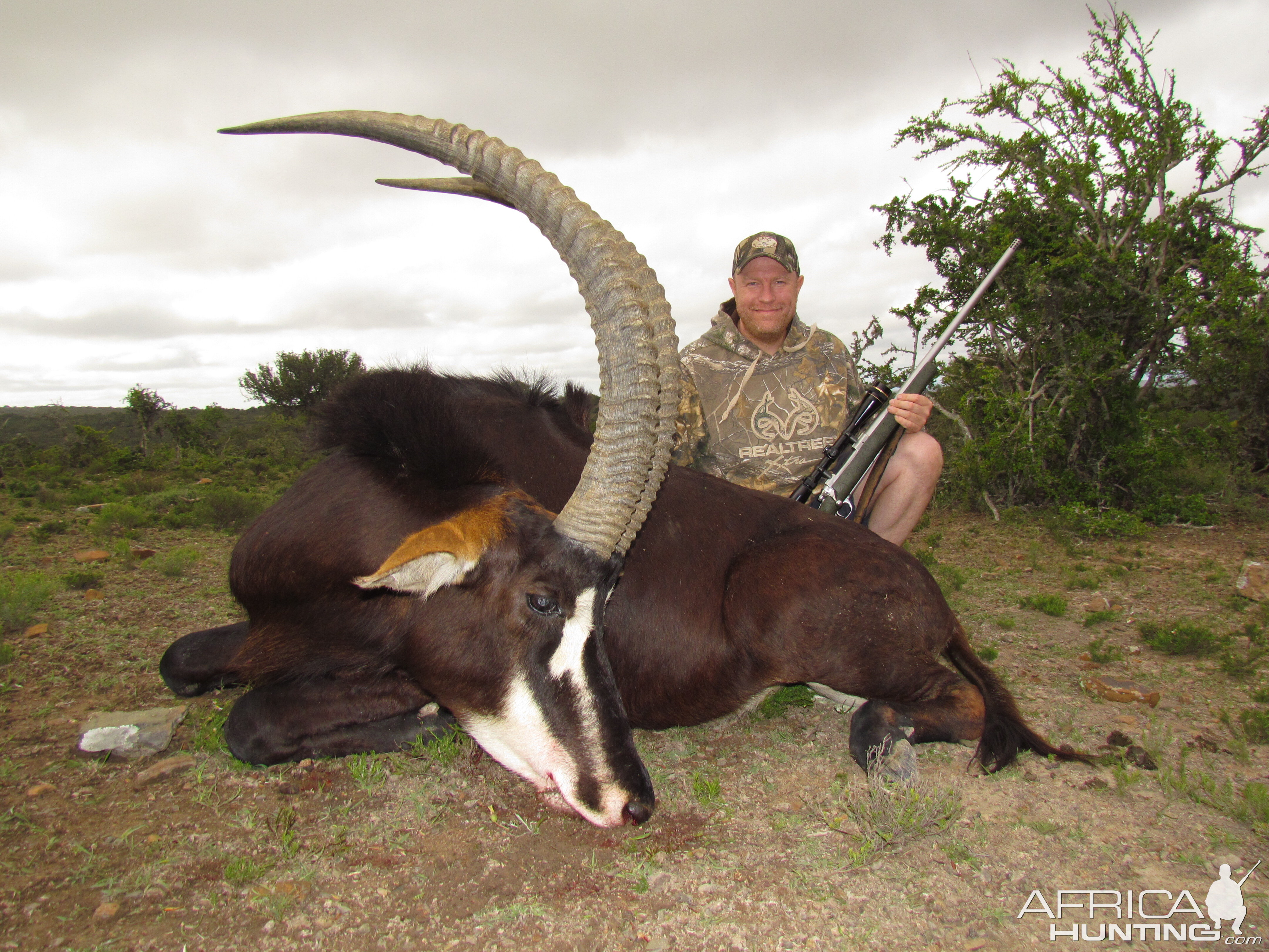 Sabe Antelope Hunting in South Africa