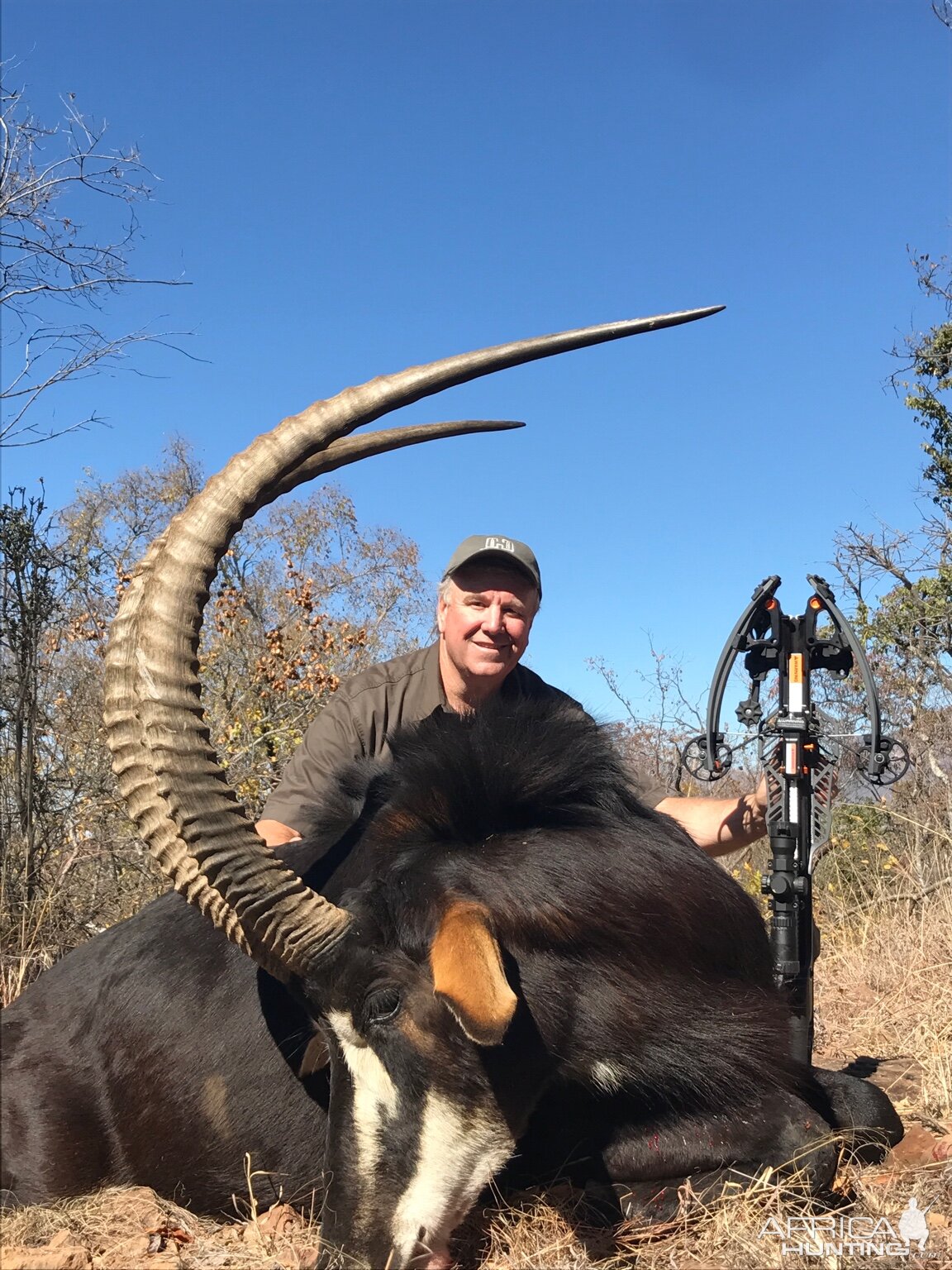 Sable Antelope Crossbow Hunt South Africa