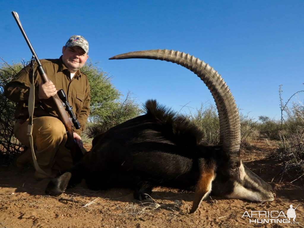 Sable Antelope Hunt Namibia