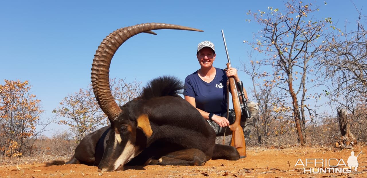 Sable Antelope Hunt South Africa