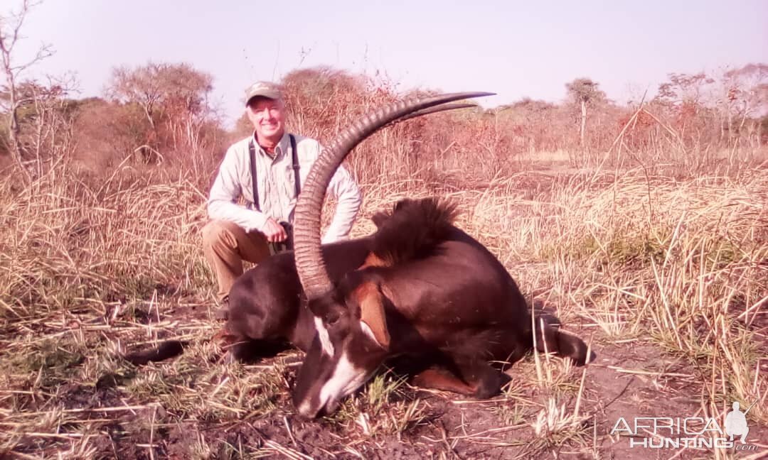 Sable Antelope Hunt Tanzania